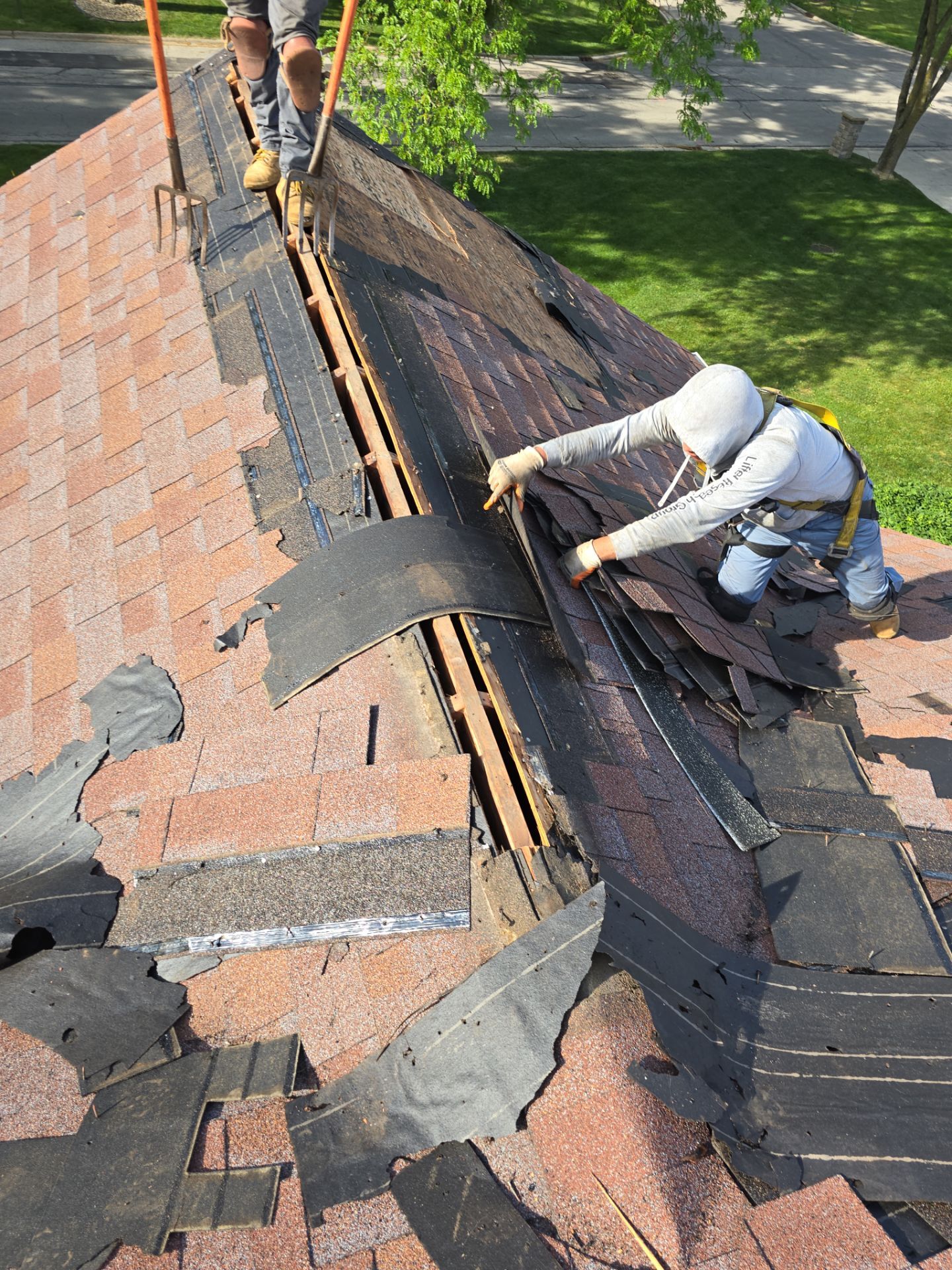 Oak Brook Architectural Shingle Roof Replacement and Velux Skylight Upgrade by Roof One