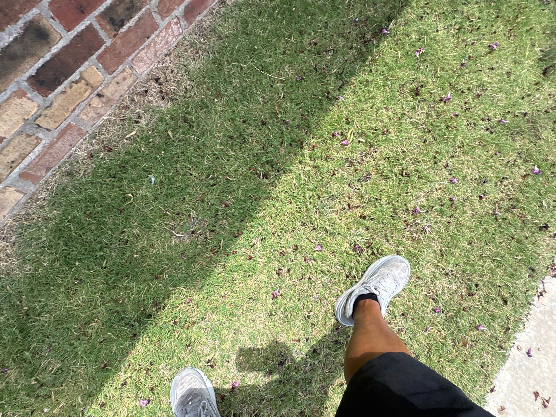 Something else by Storm Guard of Lubbock