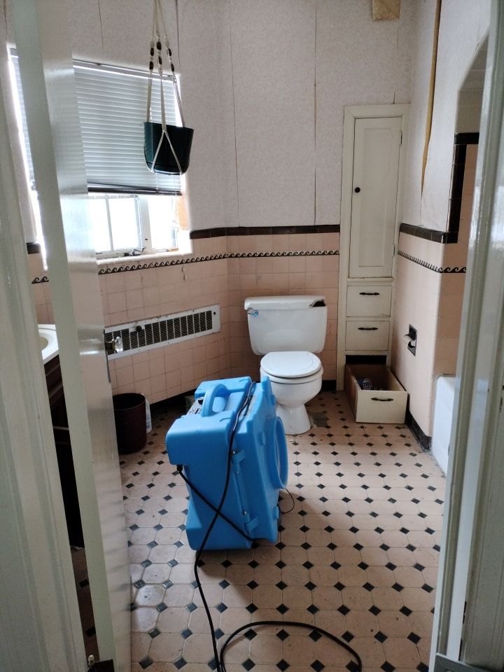 Mold Remediation by Accountable Home Services