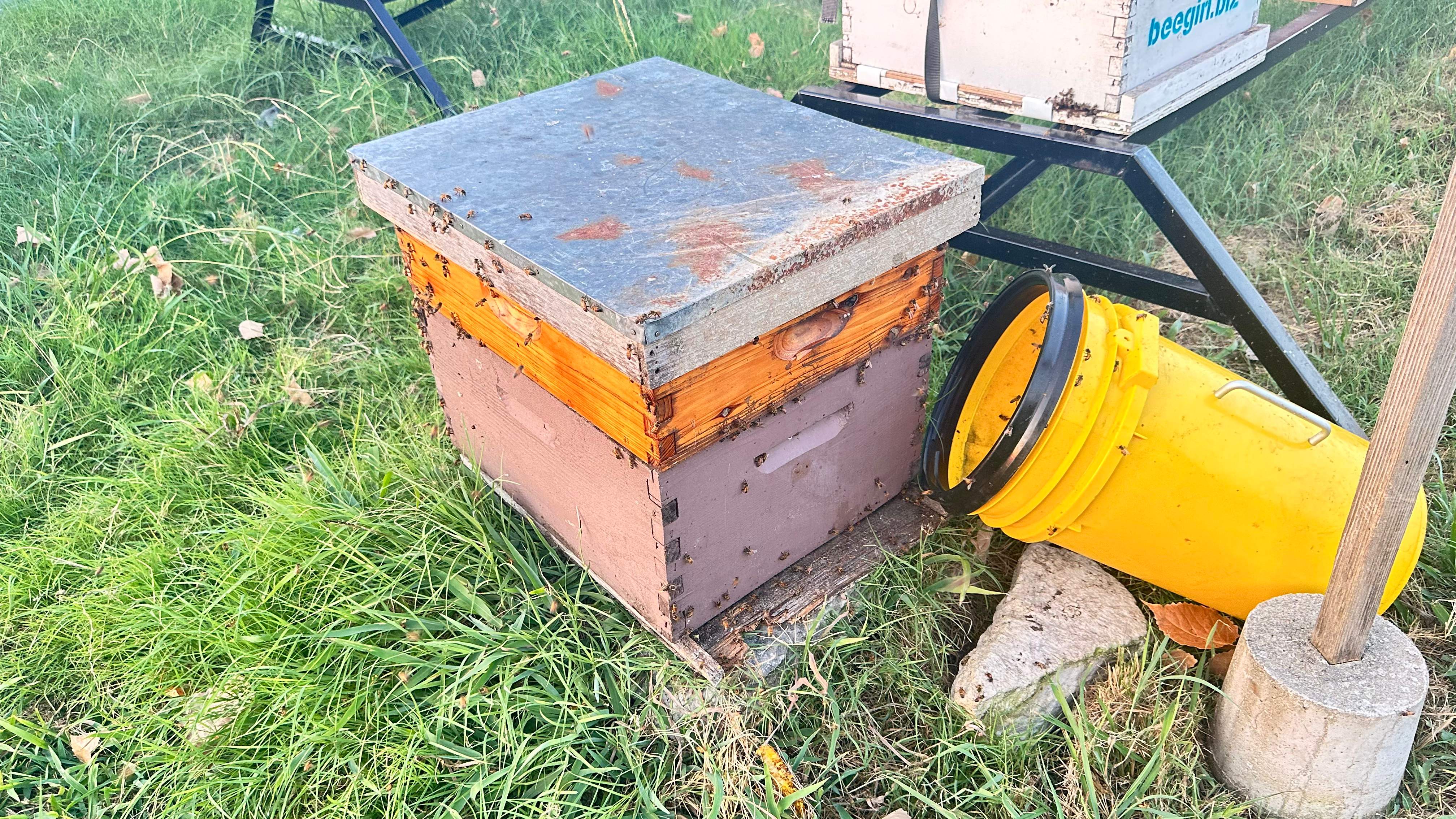 McSoffit by Rockwall Honey Bee Company