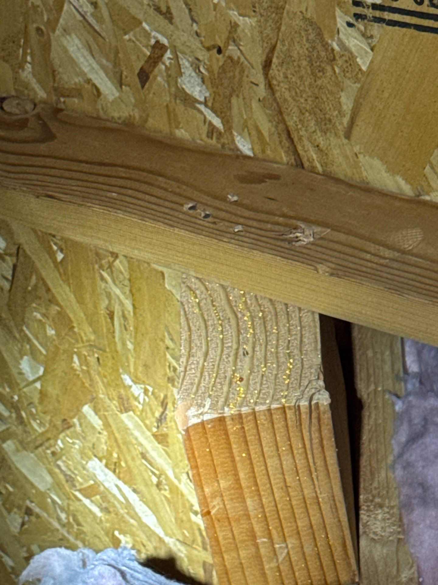 Full Residential Roof Replacement and Ventilation Upgrade in Meridian by Olive Roofing