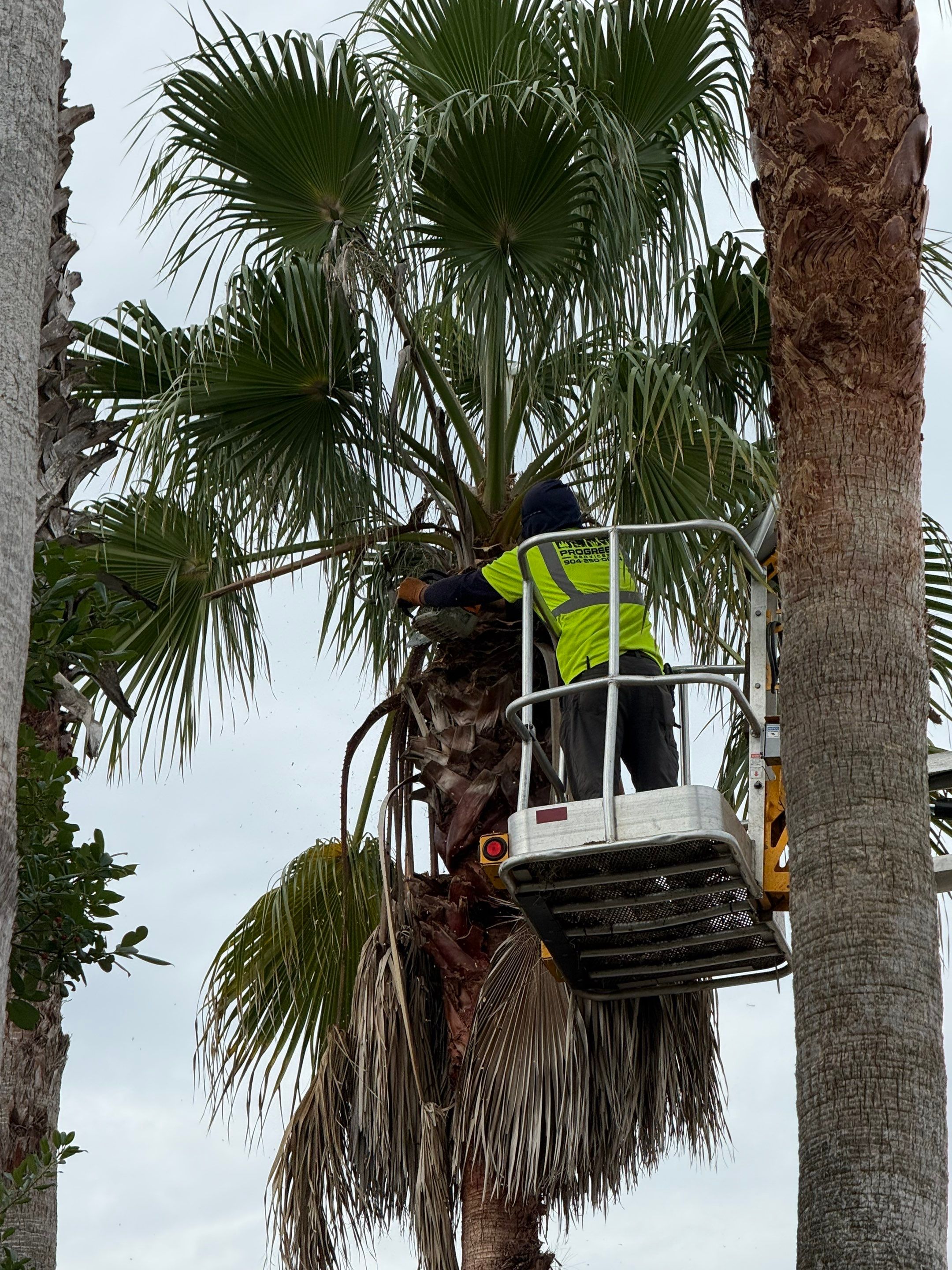 Volunteer Work | Episcopal High School of Jacksonville by ProGreen Services