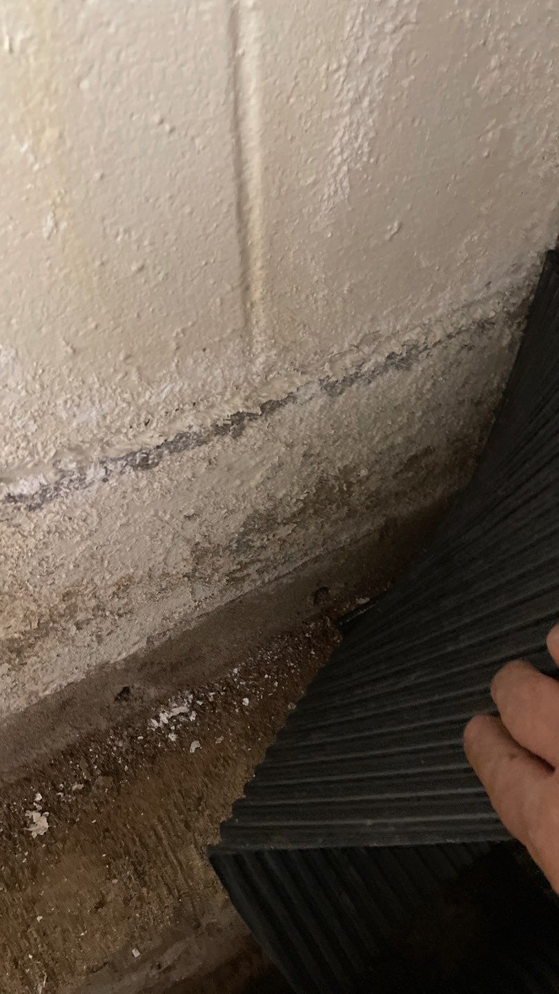 Helping Our Neighbor Gail by Waterproofing Northeast