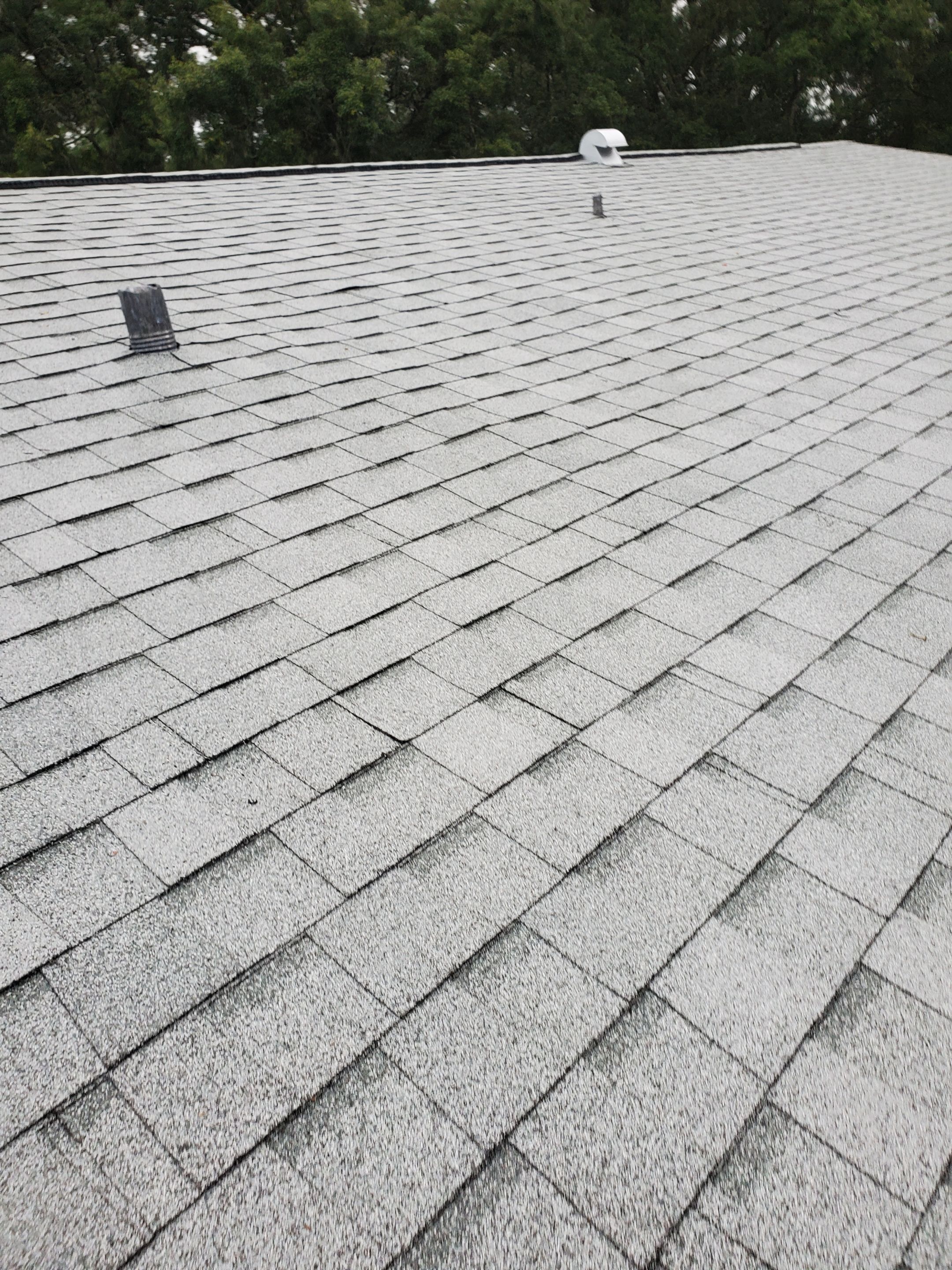 Shingle Reroof Replacement Deland FL by Pinnacle Roofing Group