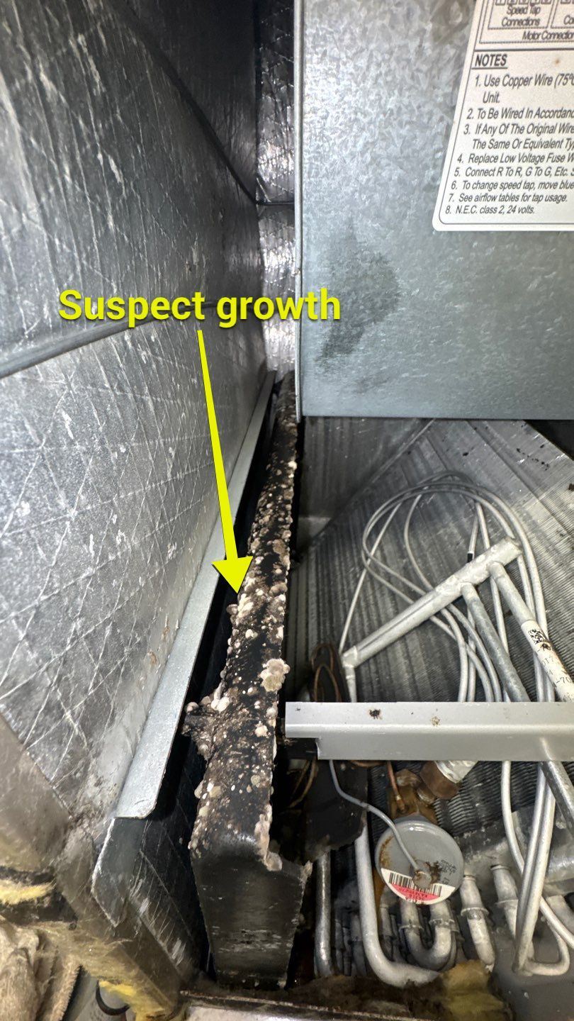 Air Duct Cleaning in Groveland by Hygienic Air, Inc