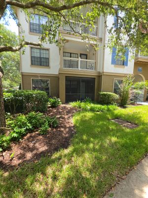 Andersen Window Replacement and Installation in Jacksonville, Florida