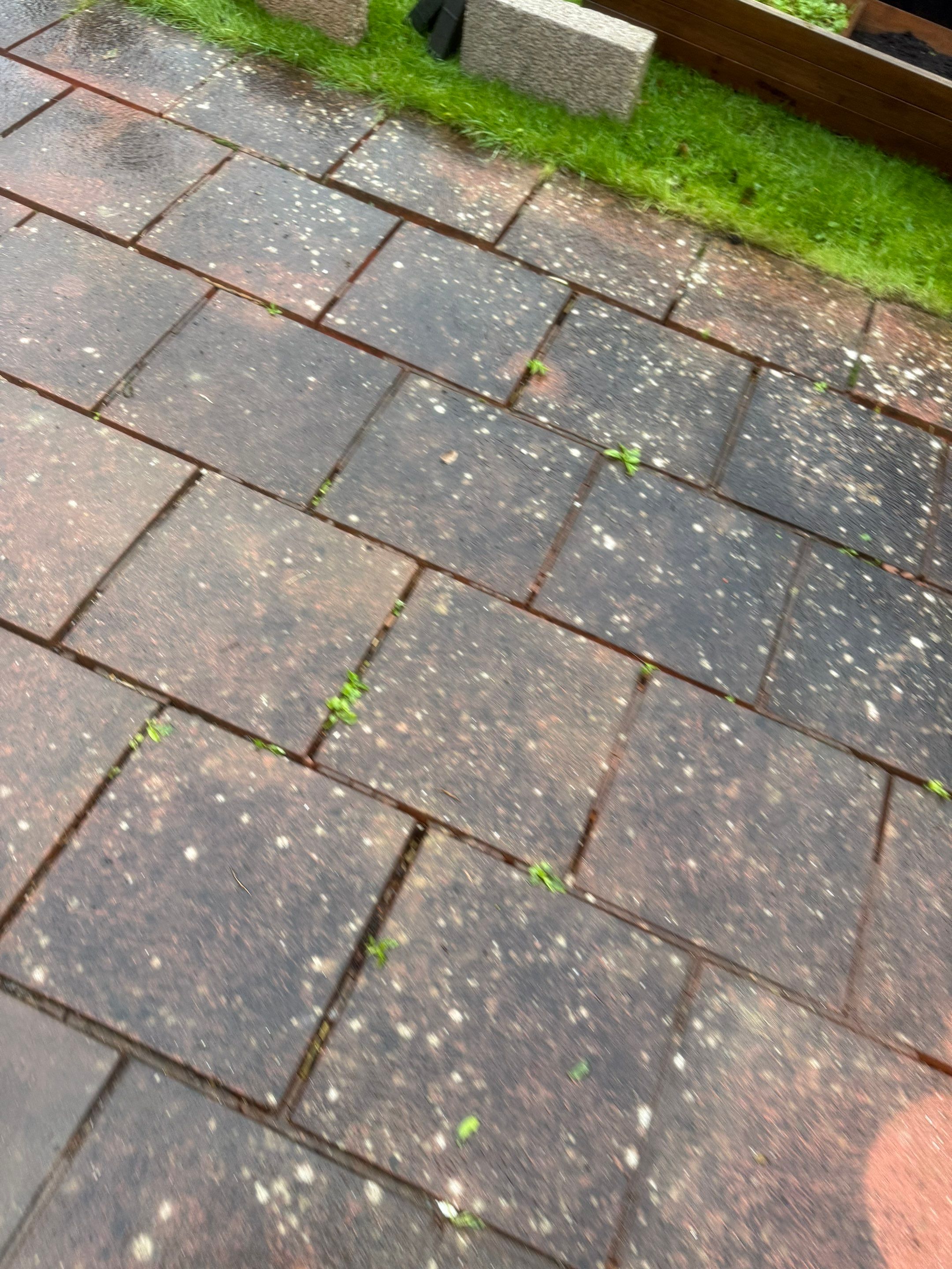 Roof and Patio Clean Bognor Regis by Ges Exterior Cleaning ltd