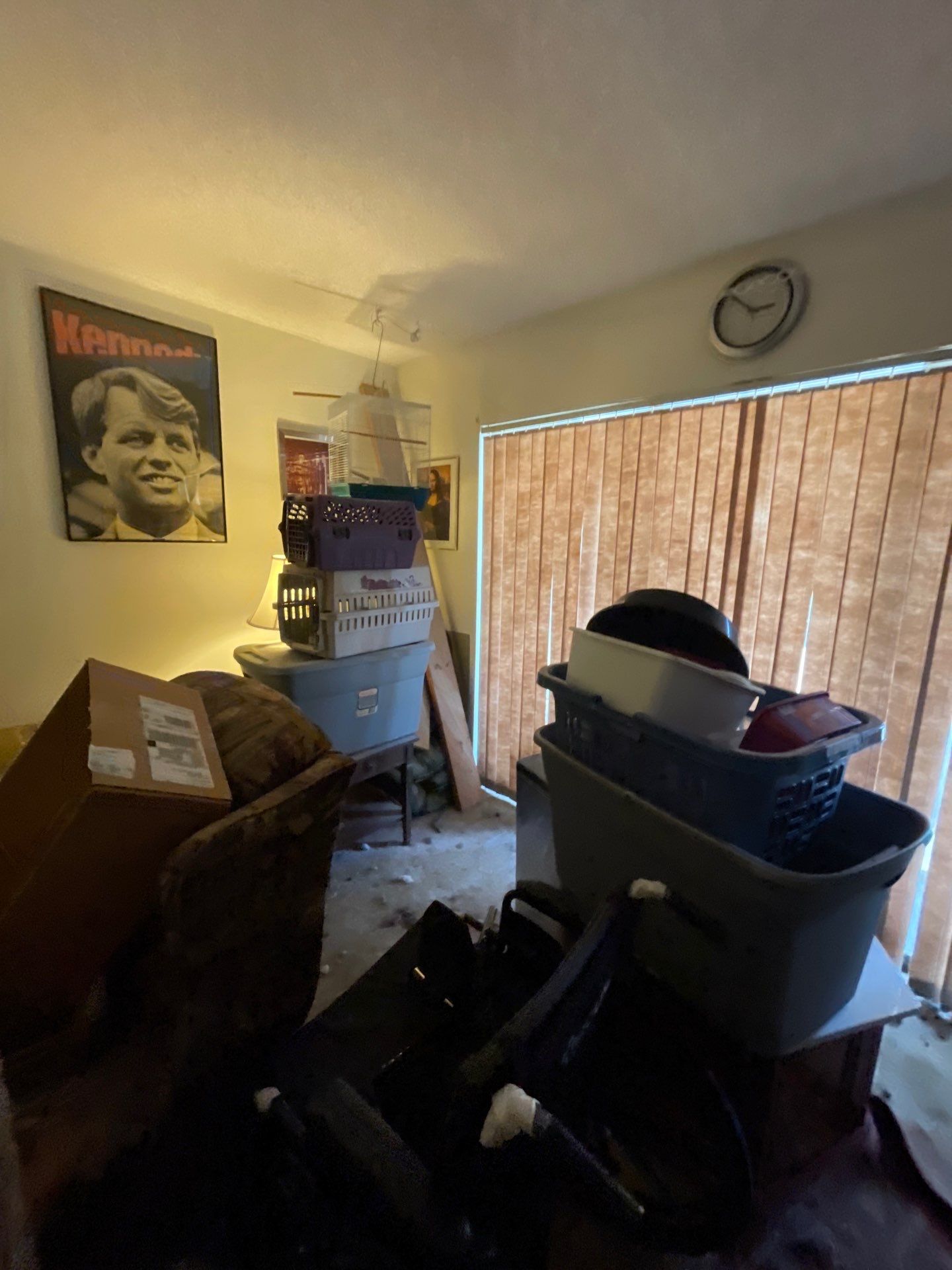 Horder house with Mold and Bacterial Contamination Issues  by Bay Coast Restoration 