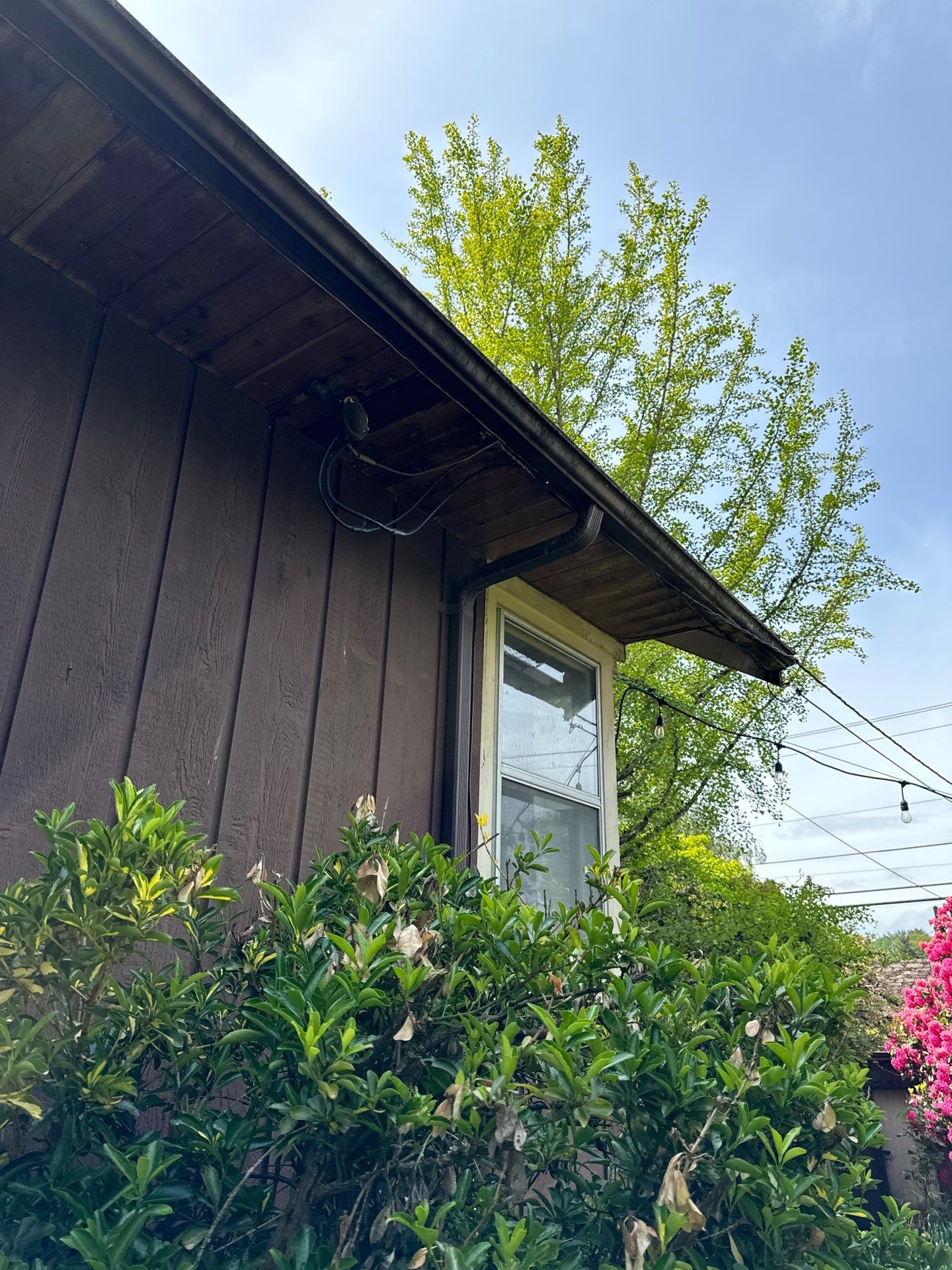 Project in Everett by Peaks and Valleys Construction