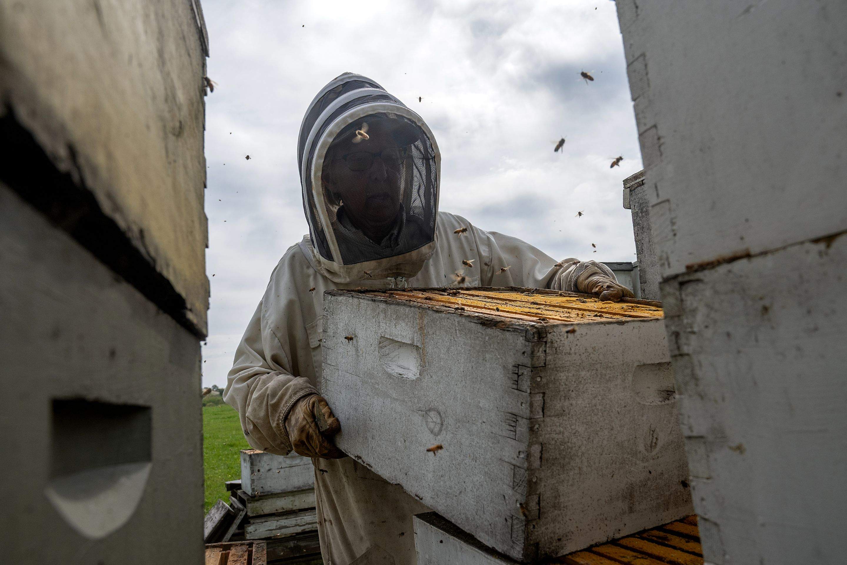 Splits in East Texas by Rockwall Honey Bee Company