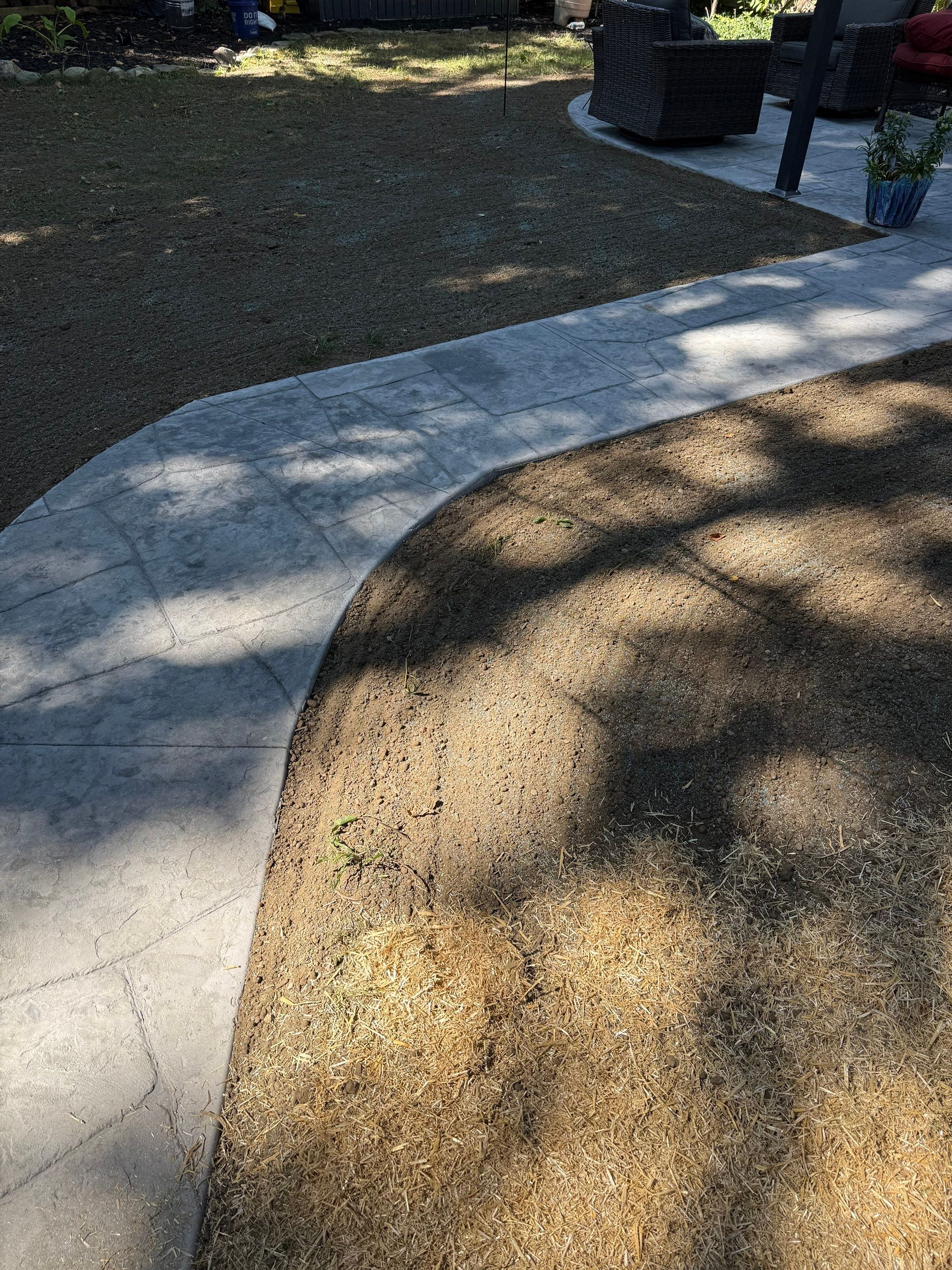 Shade Lawn Repair by Elm Rose Gardens