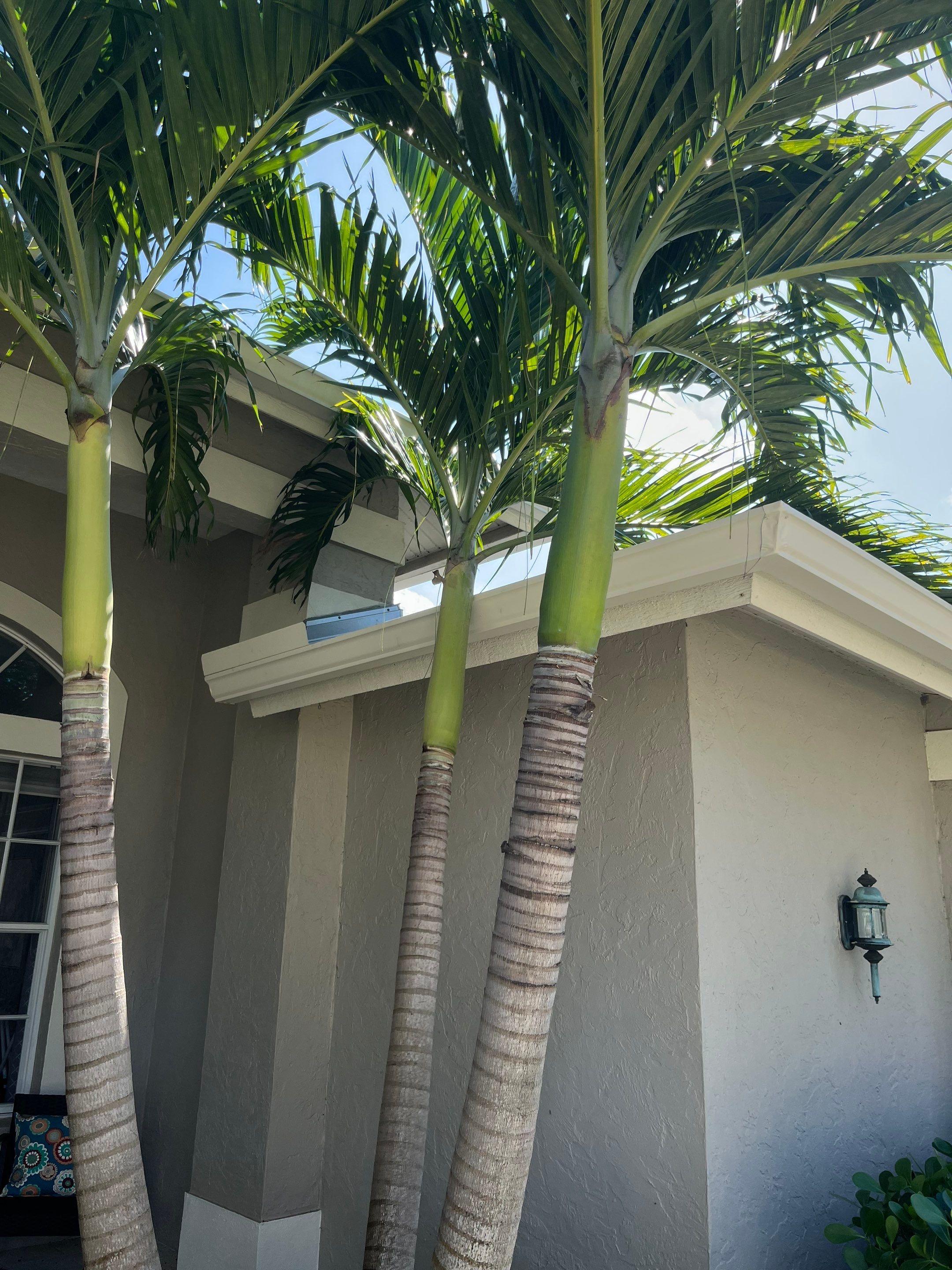 White 6-inch K-Style Gutters in Sarasota FL by Gutter Professor by Gutter Professors