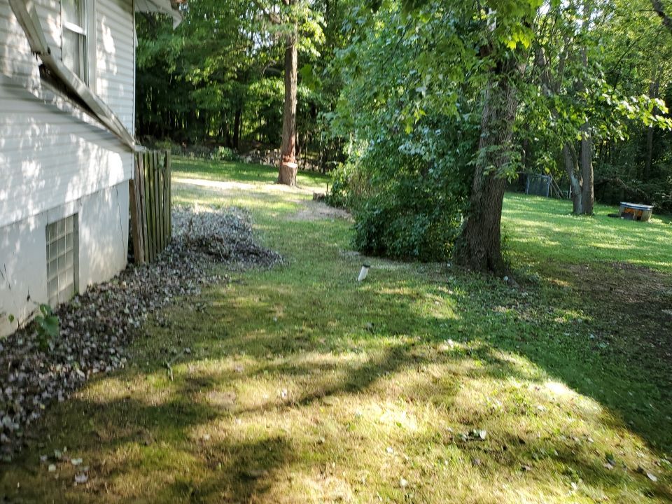 Storm Damaged Tree Removal  by Mike Jones & Sons Tree Service LLC 