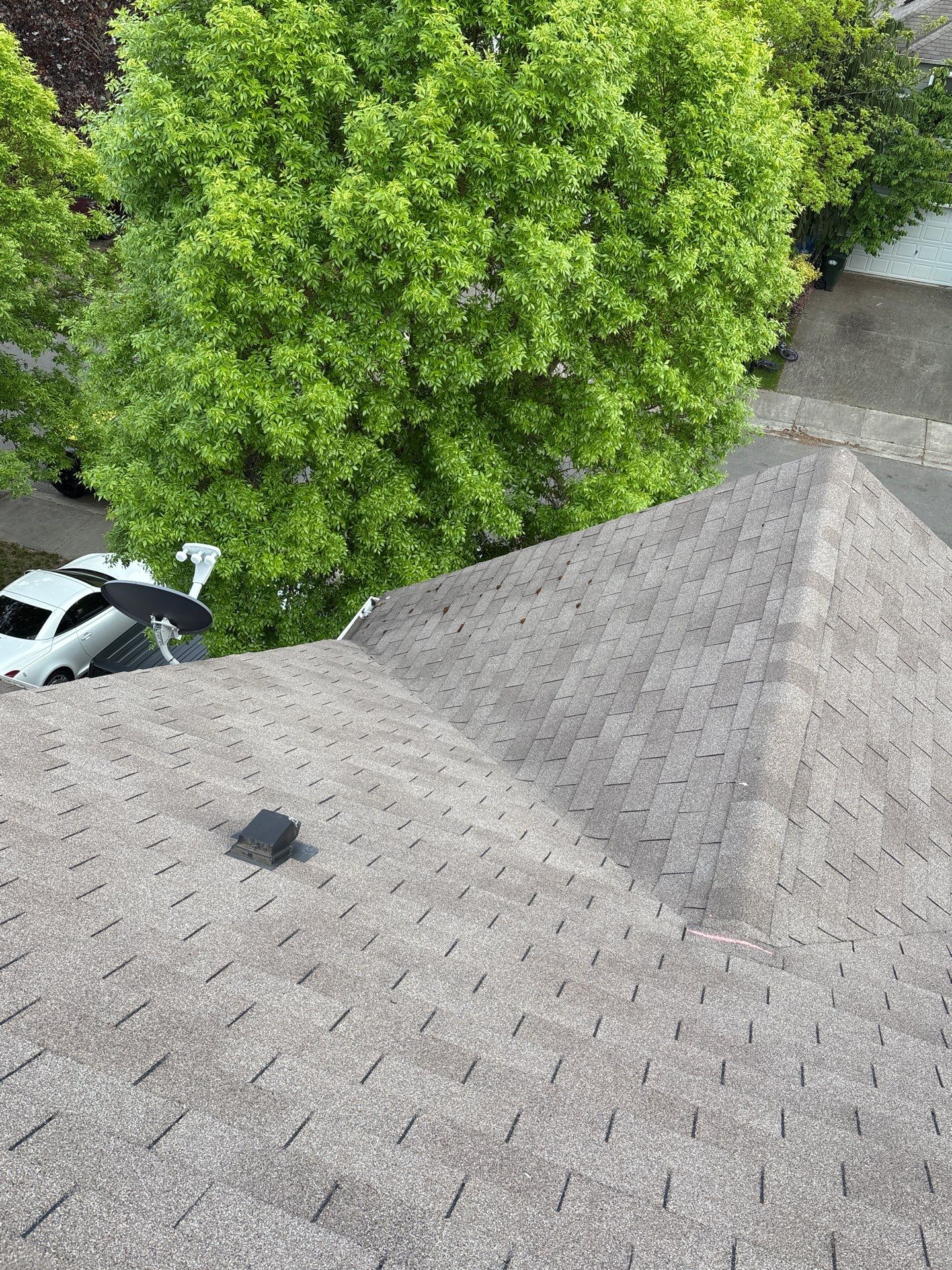 GAF Timberline HDZ, Barkwood  by Proline Roofing & Restoration LLC