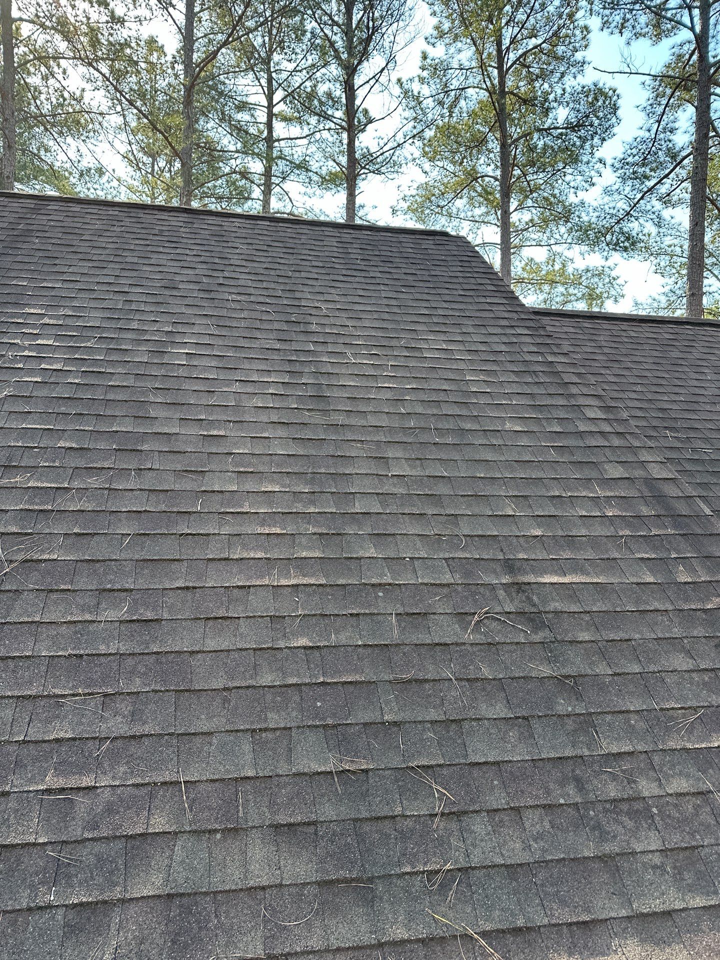 The Cribbs by United Contracting and Roofing