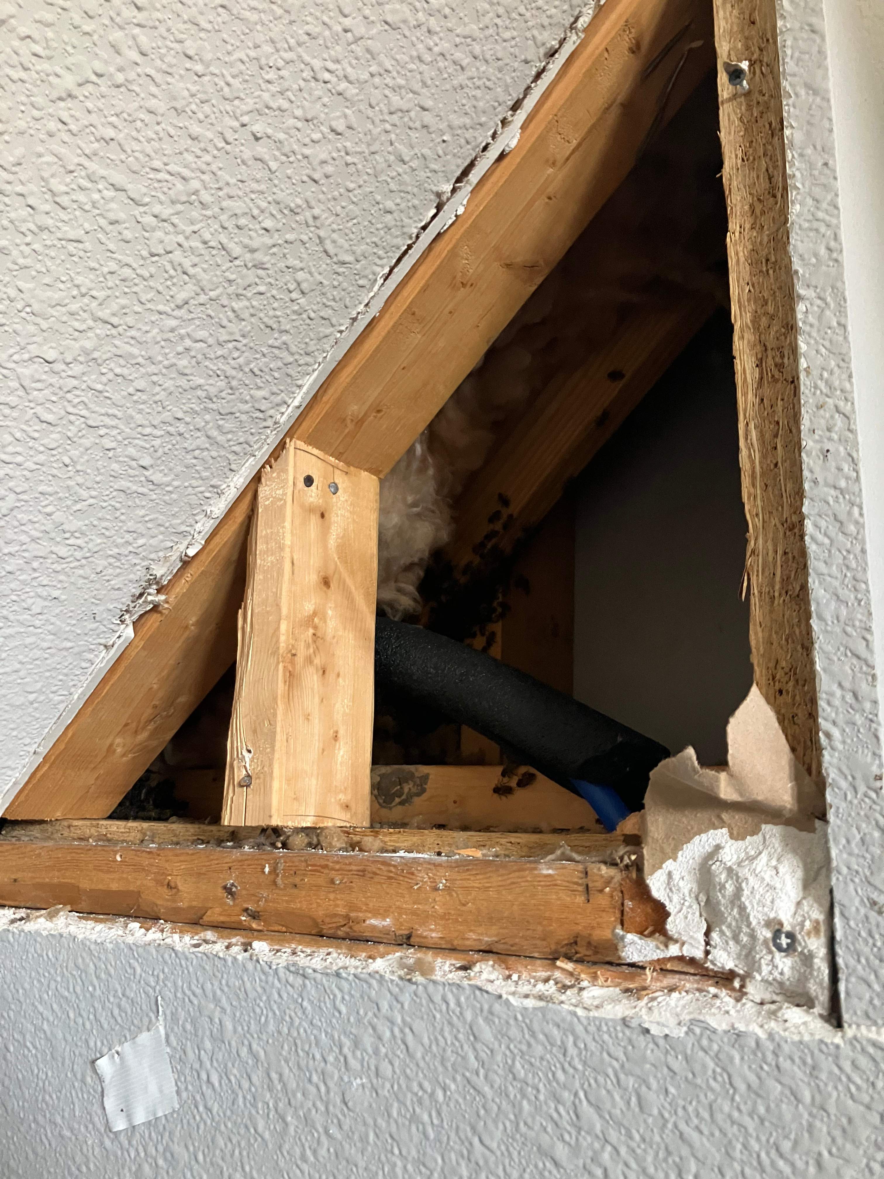 Interior Wall by Rockwall Honey Bee Company