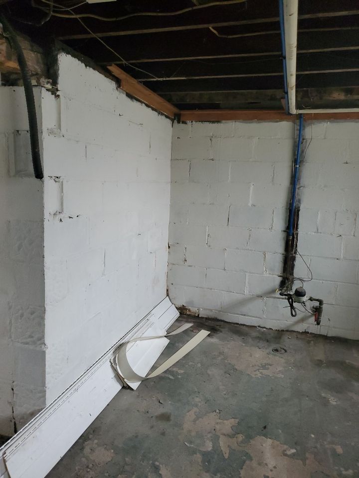 Tree Removal using Tree Removal by Mike Jones & Sons Tree Service LLC 