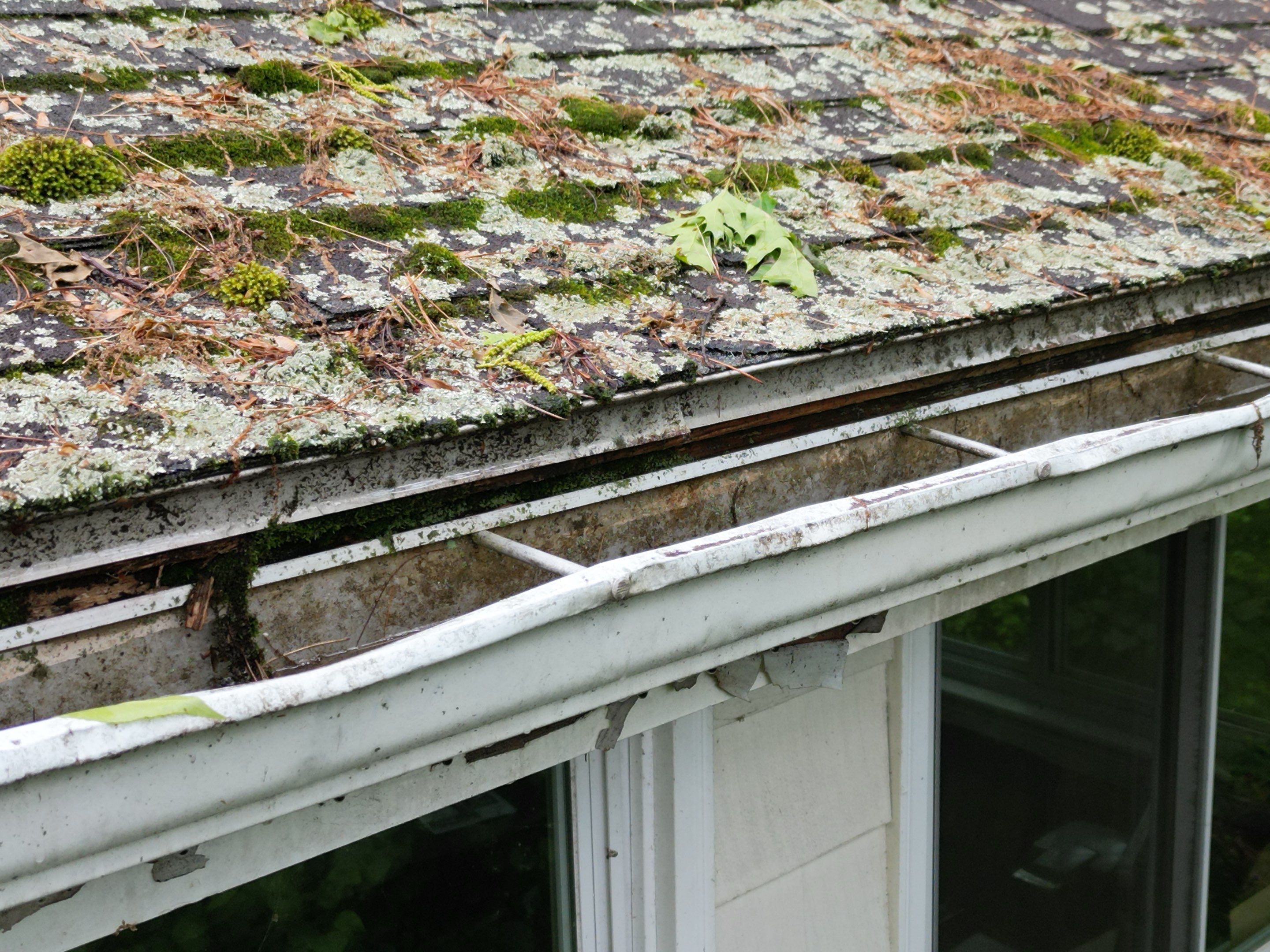 Roof & Exterior Renovation – Chelmsford, MA by Mighty Dog Roofing of Greater Middlesex County