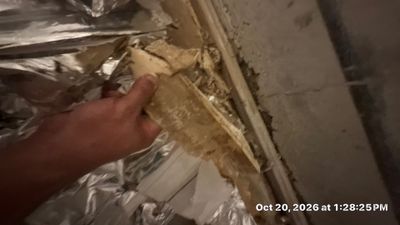 Water Damage Restoration — Fort Myers, FL