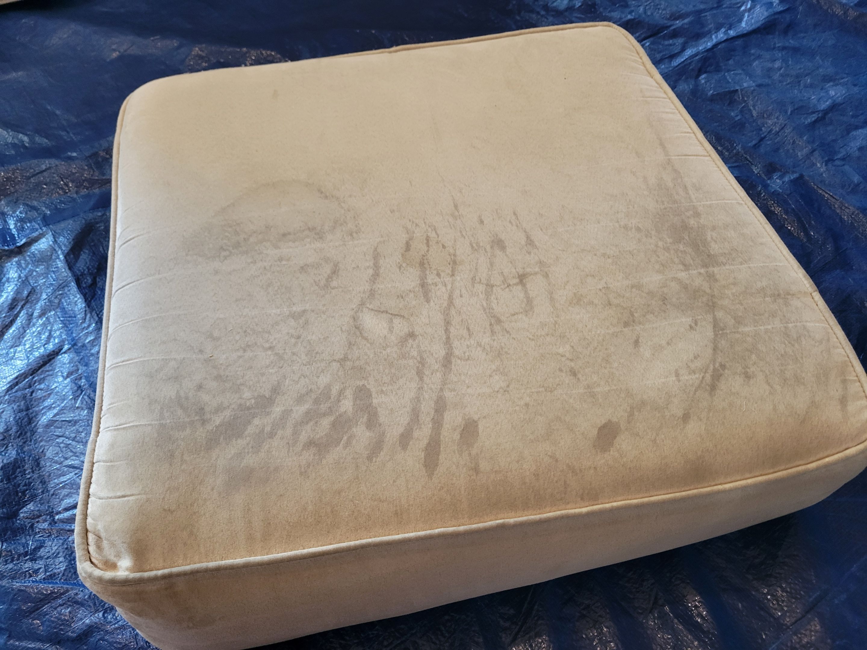 Cleaning a Sofa with Chase and a Chair by Ardent Carpet Restore LLC