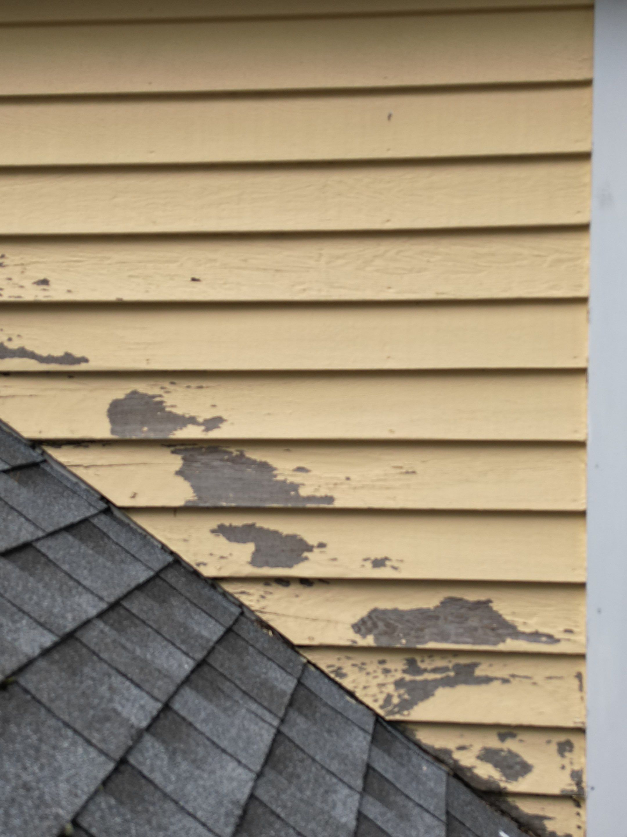 Siding | Dunstable by Mighty Dog Roofing of Greater Middlesex County