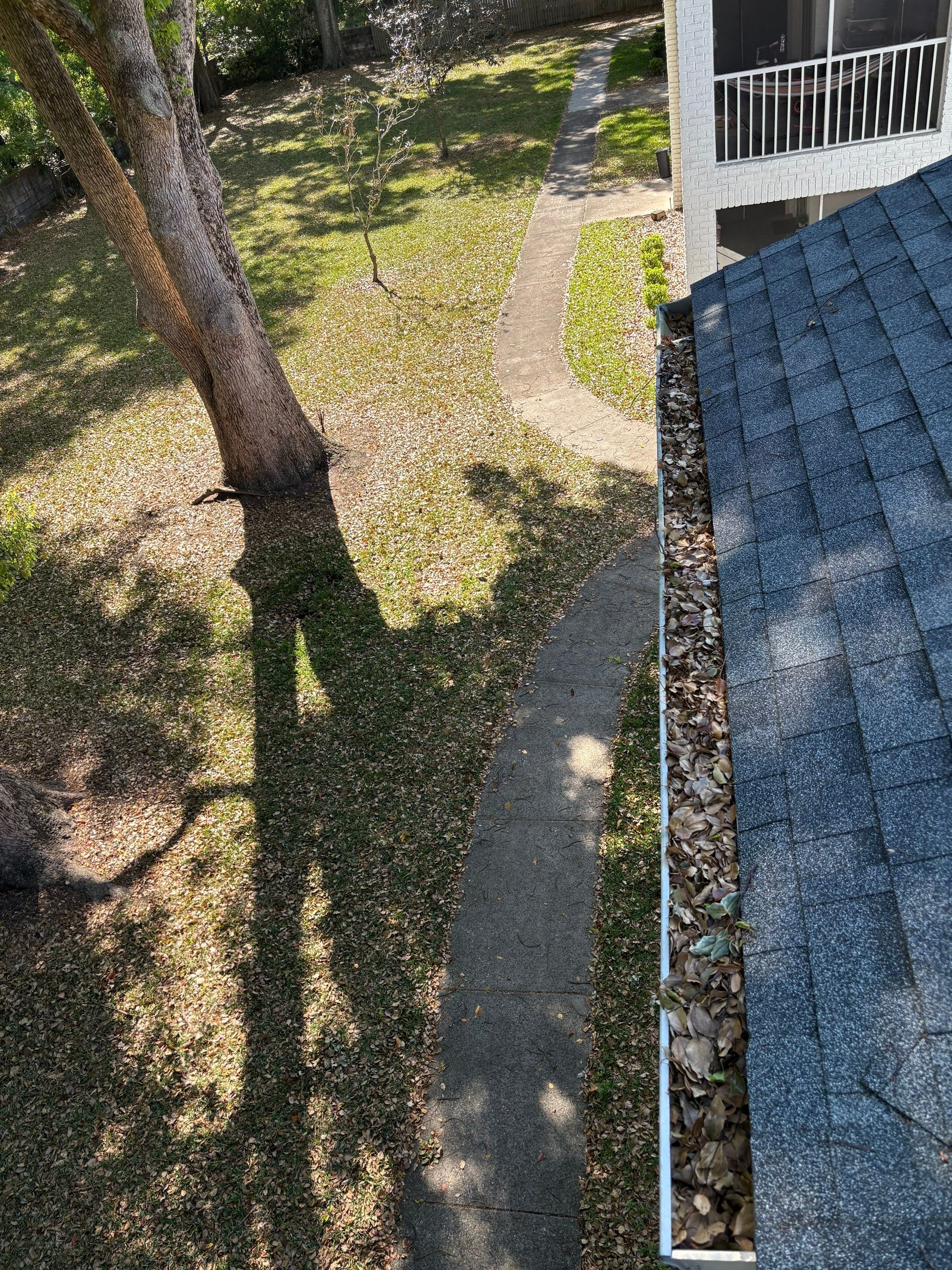 Gutter cleaning in Orlando, FL before cleaning. Leaves packing gutters.