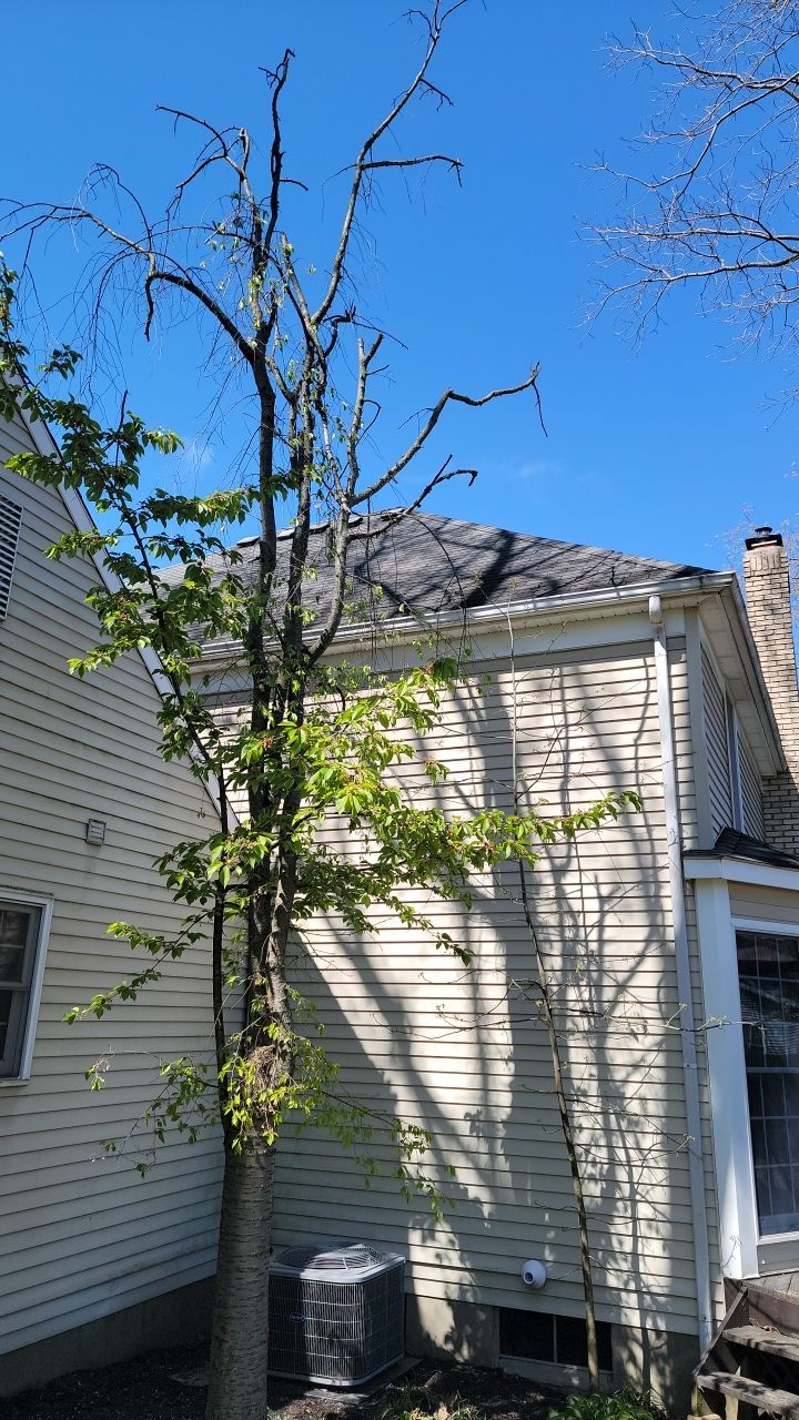 Brand: Atlas Pinnacle Color: Pristine Scotchgarde Black Drip: Black by Eagle Eye Roofing