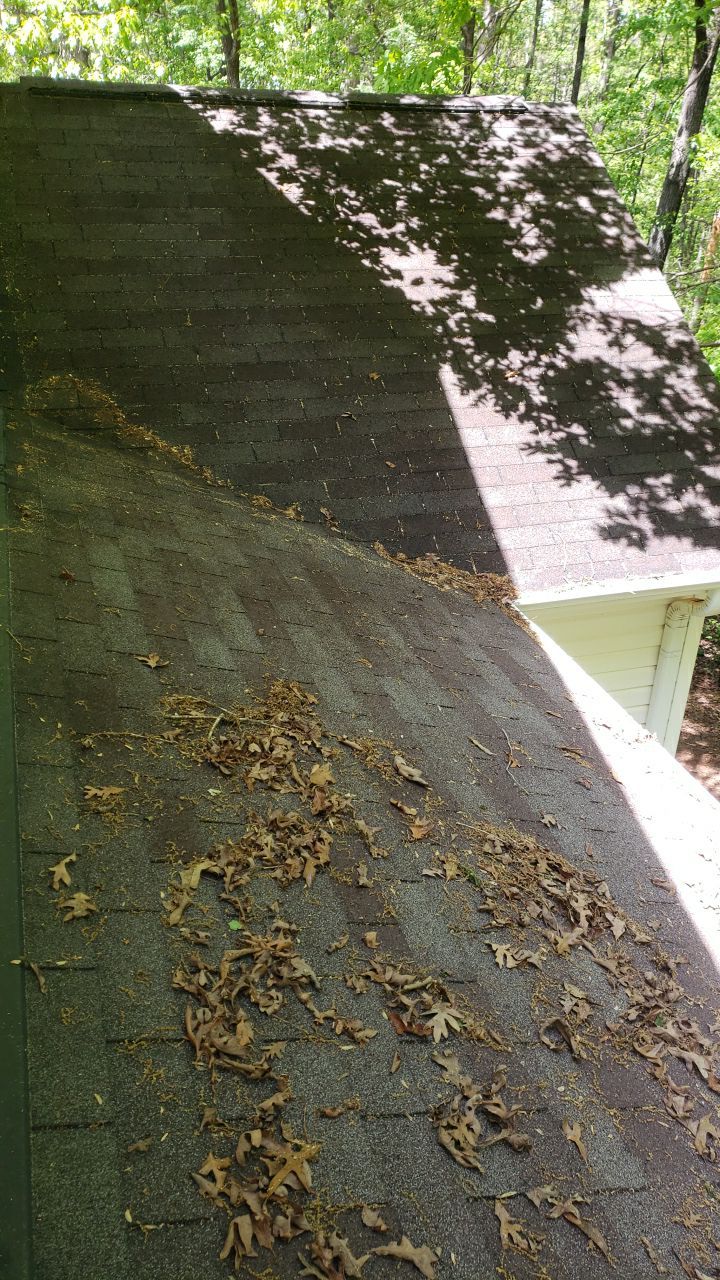 House Wash using cleaner by Power Wash Masters LLC
