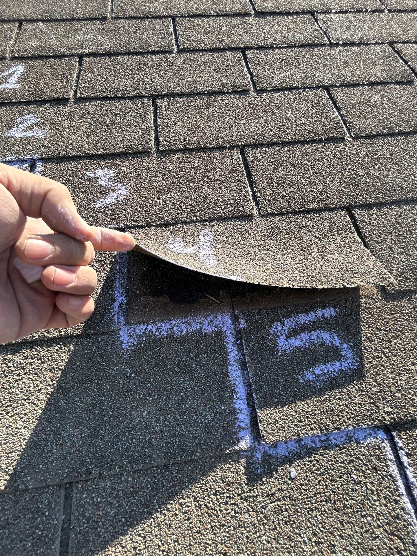 Miss Bridgette by REPS Austin Area Roofer