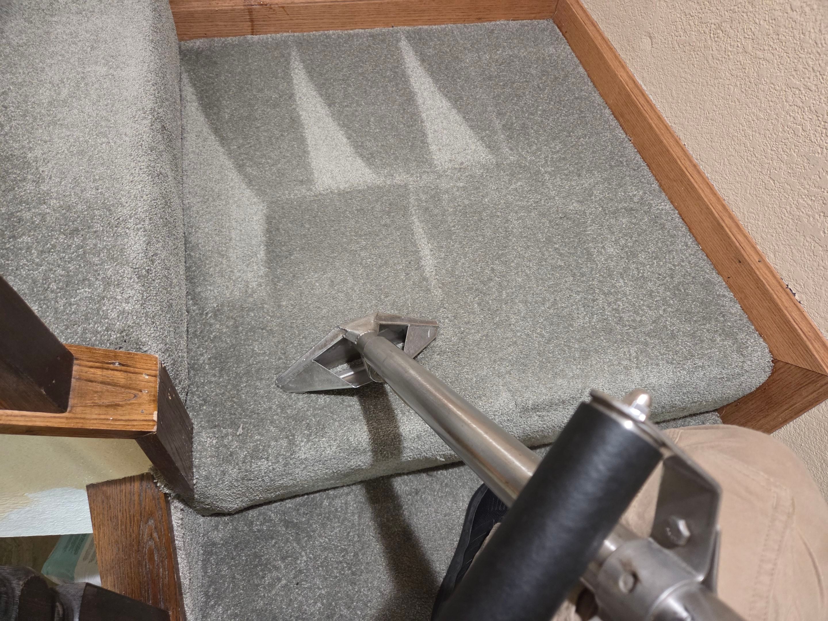 Large Bonded Insert, Carpet Repair by Ardent Carpet Restore LLC