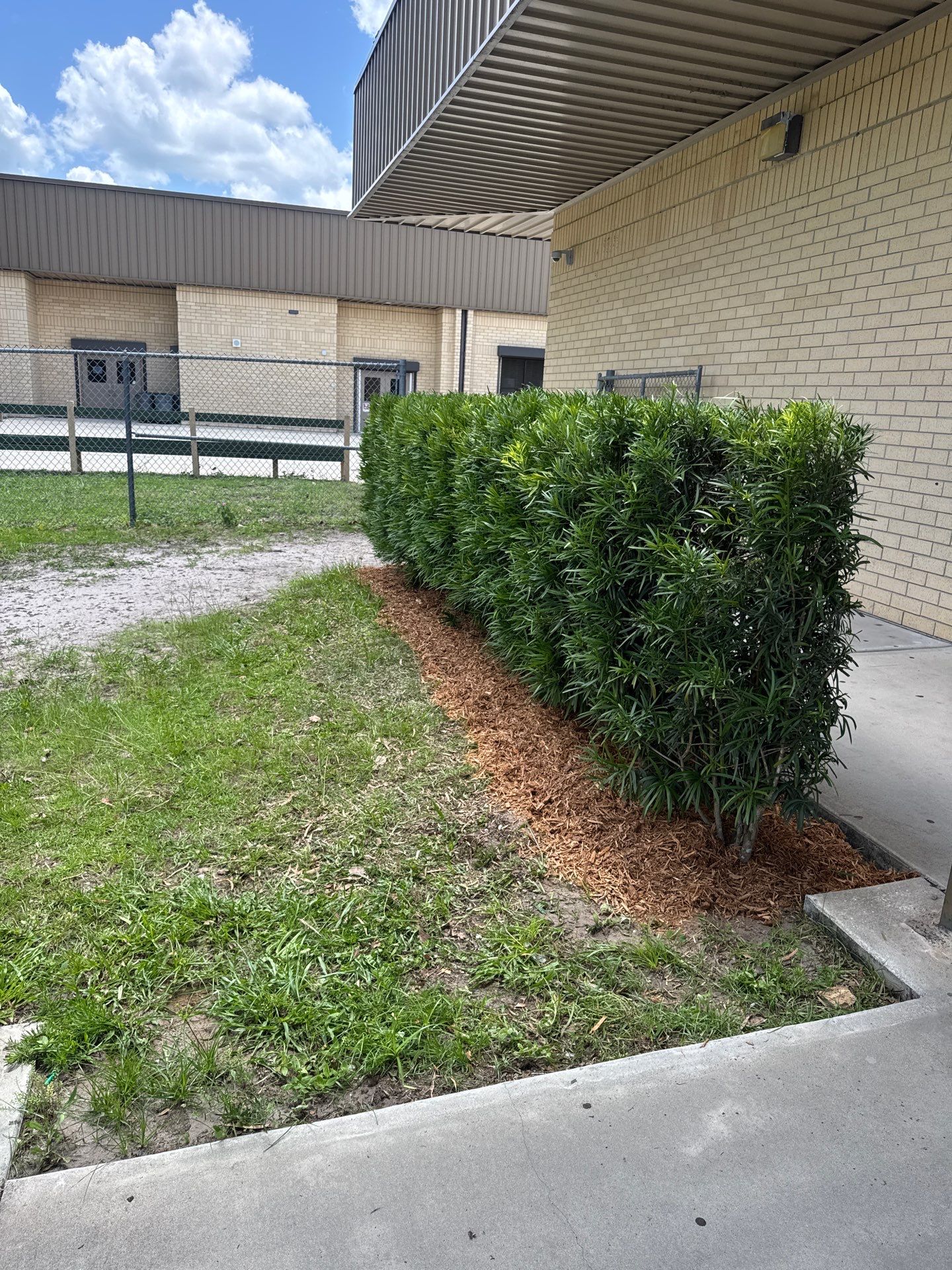 Green Cove Springs Junior High School | Landscape Refresh by ProGreen Services