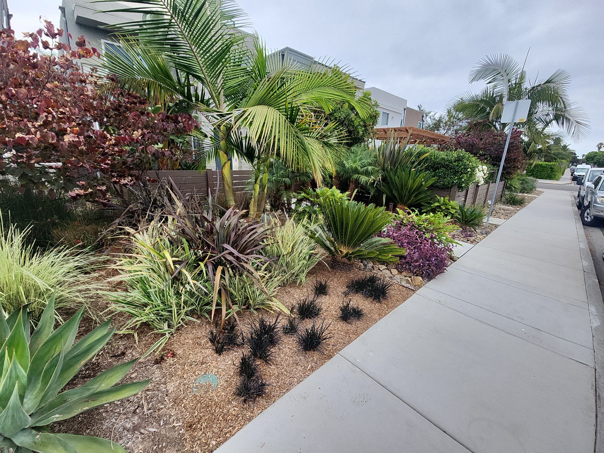 Modern Residential Landscaping in San Diego by Yard Techs