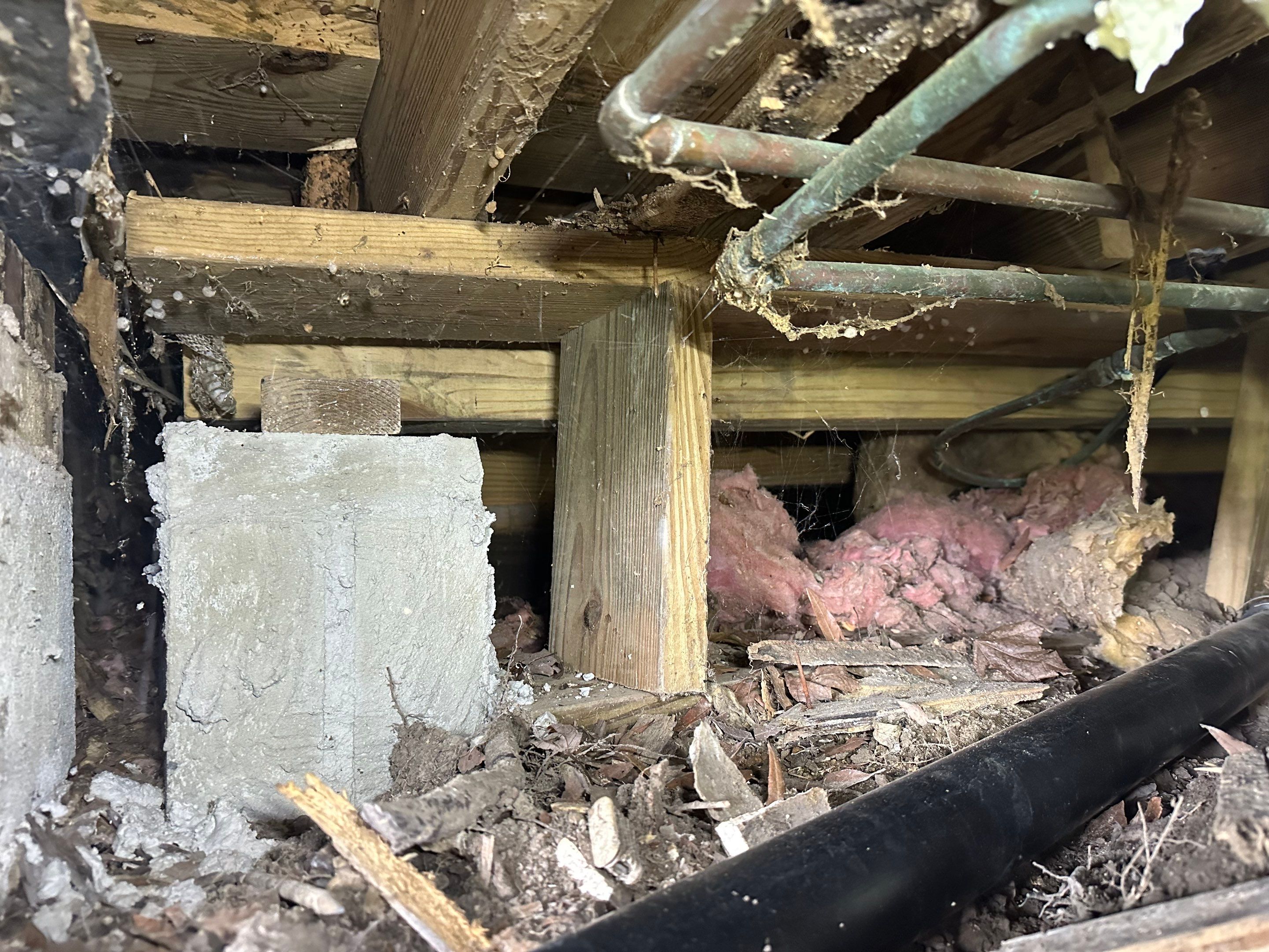Impact Choice Encapsulation on a low crawlspace. by Impact Crawlspace