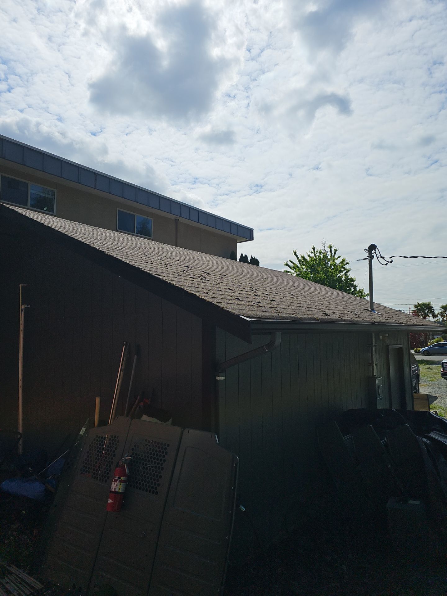 Roof Inspection in Burien by Fred Meyer Roofing