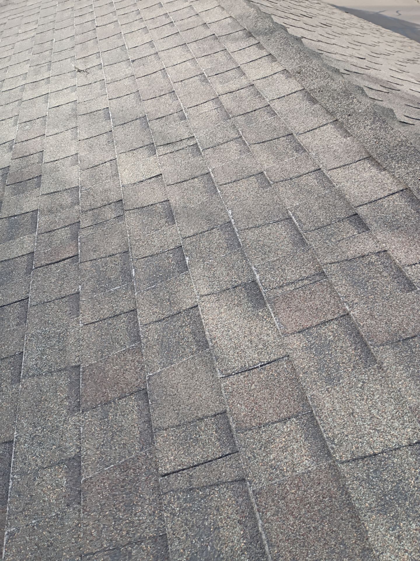 Roof Rejuvenation using Roof Maxx Treatment by Roof Maxx of Folsom