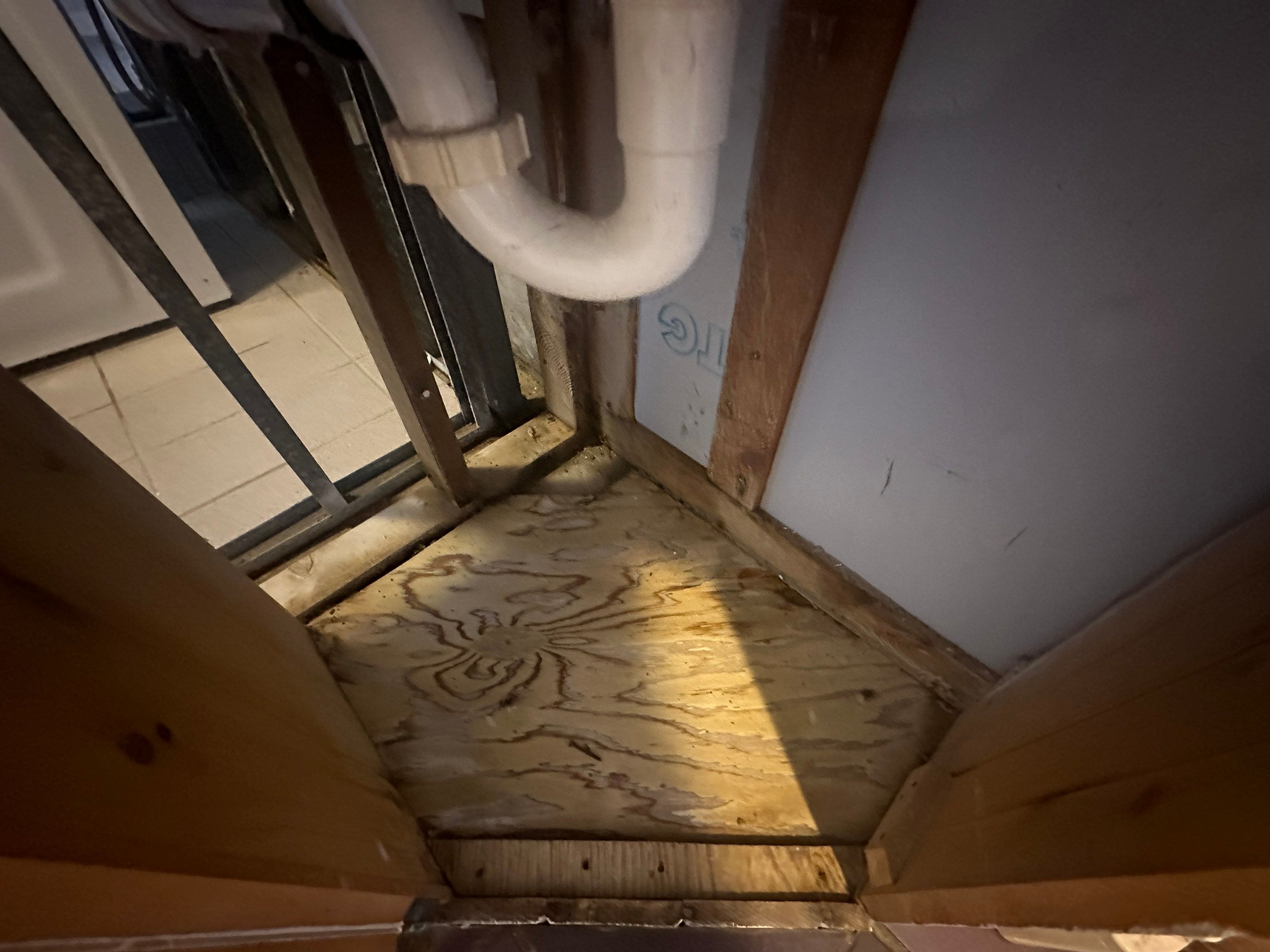 Basement Mold Remediation by Home Guarantee, LLC