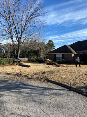 Deerwood Resident | Tree Removal