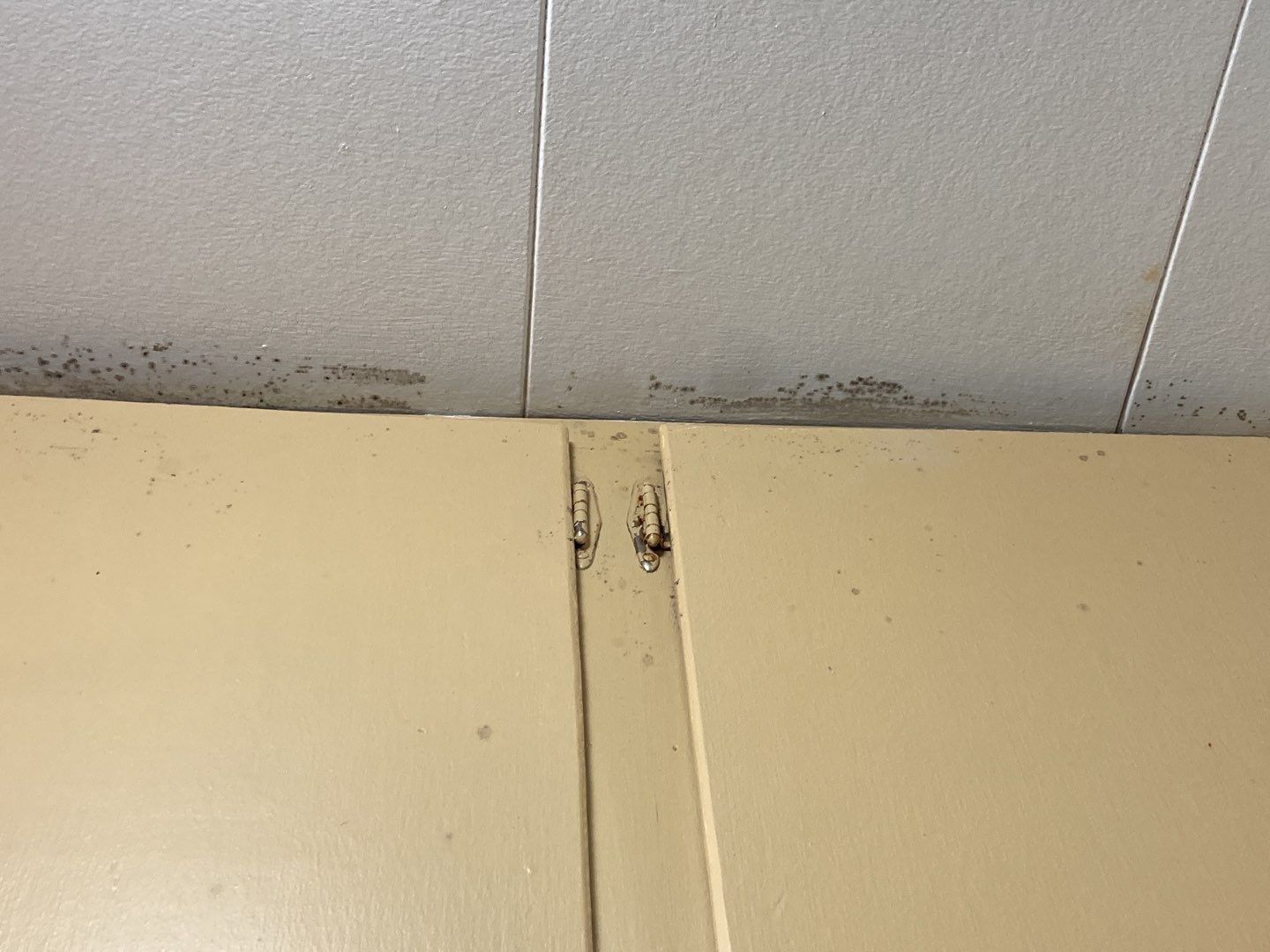Water Damage in Bathroom by Accountable Home Services