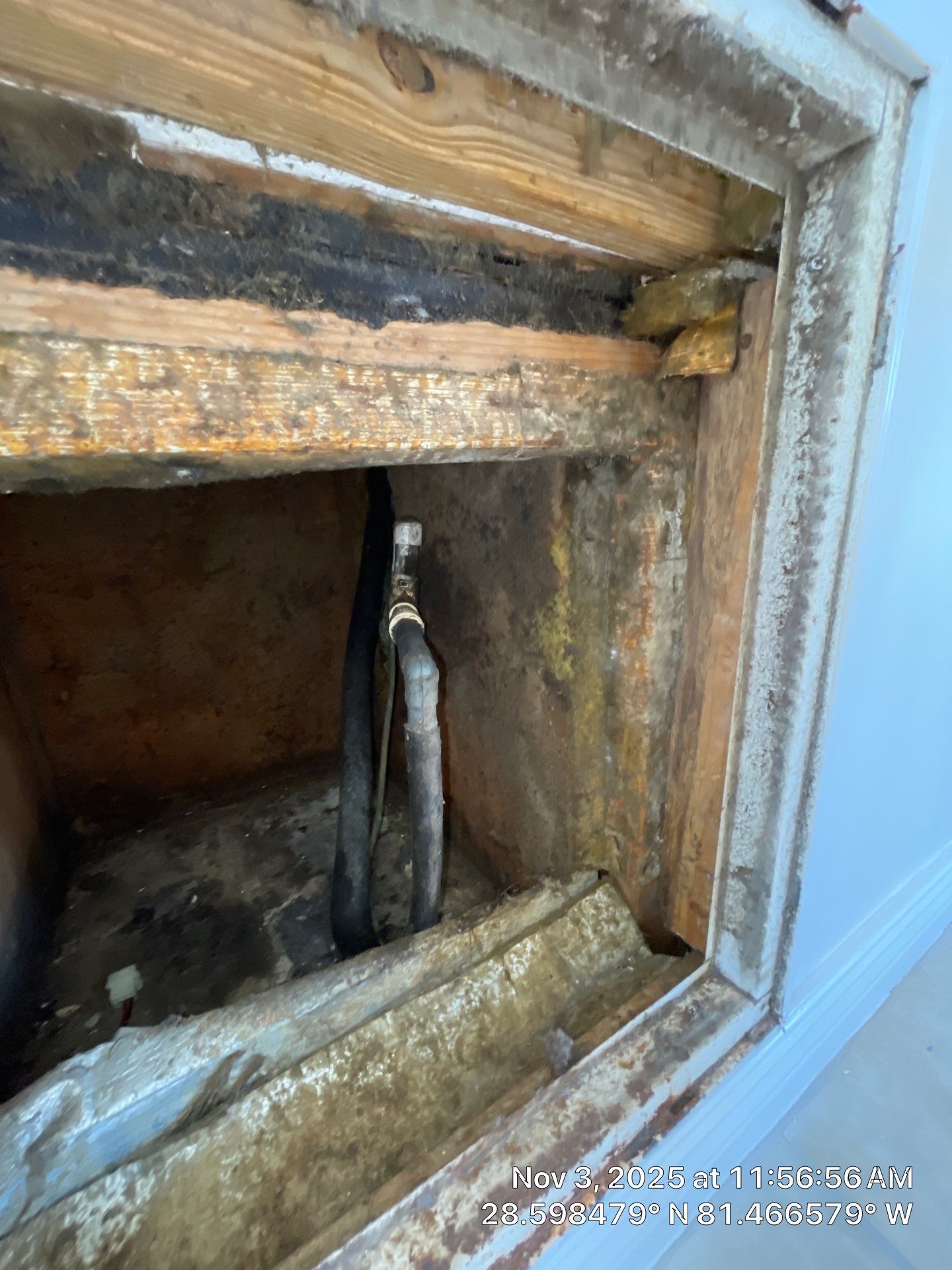 Air Duct Cleaning, Dryer Vent Repair, Plenum Repair in Orlando  by Hygienic Air, Inc