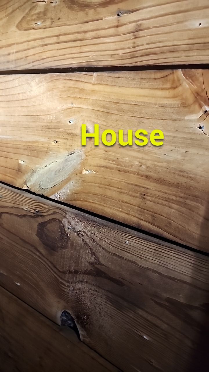 Wind-Resistant Metal Slate Roof Installation in Ossian, Indiana by 4Ever Metal Roofing