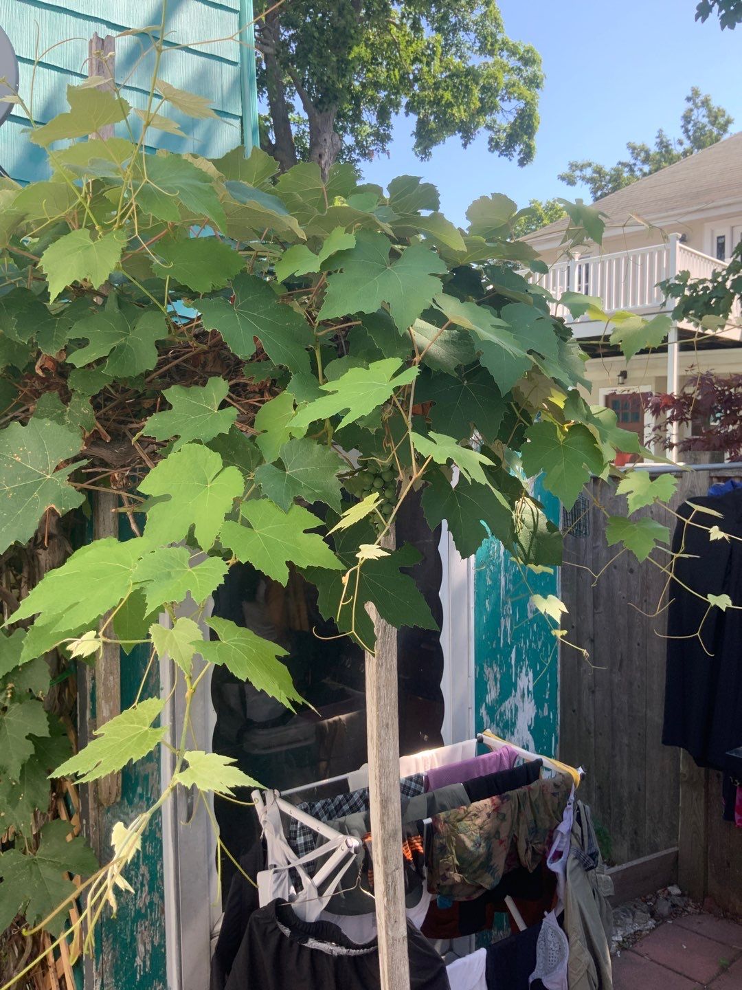 Windows and Siding in Newton, MA by UBrothers Construction