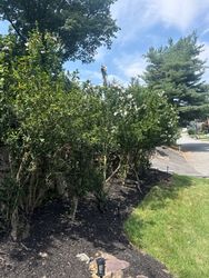 Gutter Cleaning in Woodland Park, NJ — Gallo Bros job photo