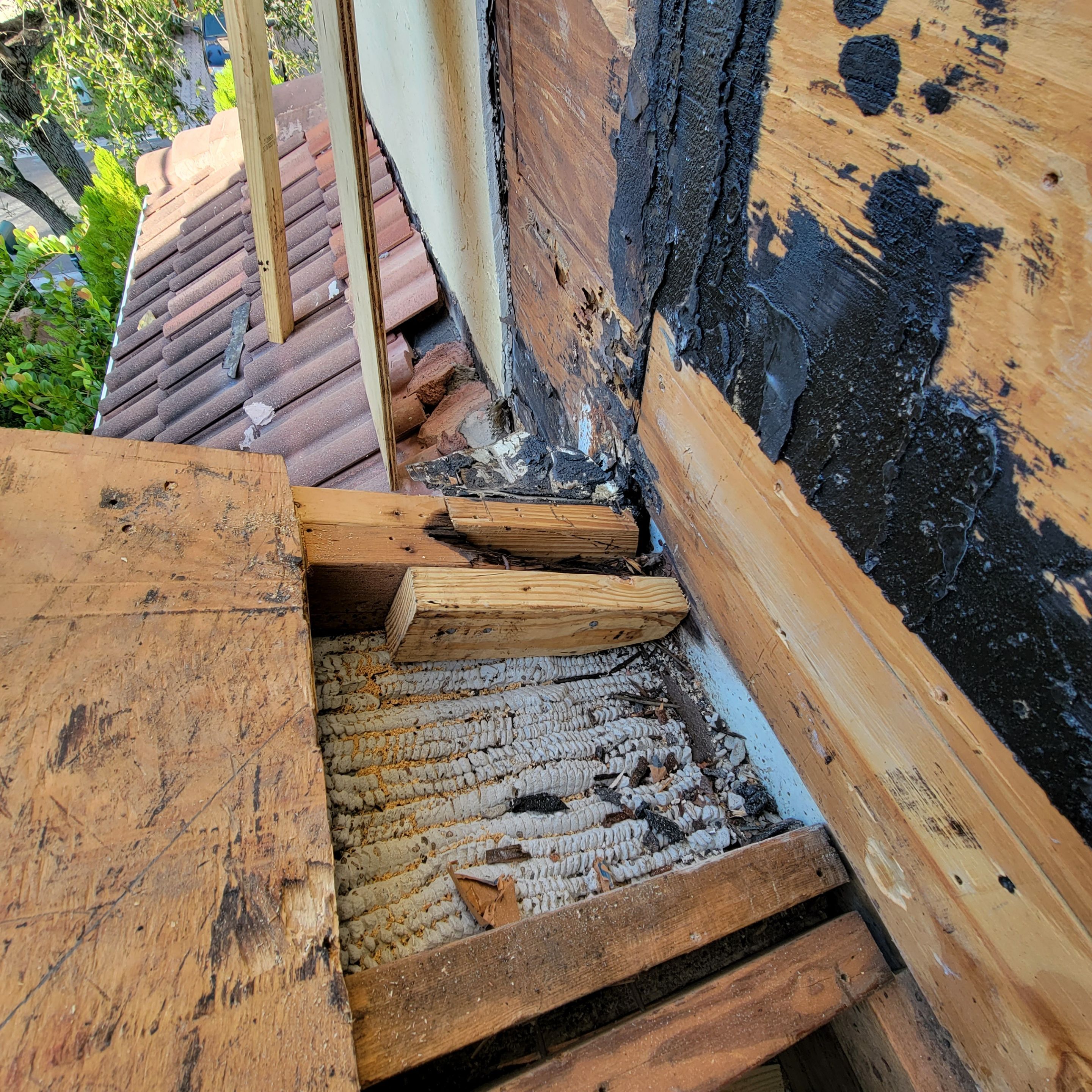 Natures Cove Rd., Dania Beach, FL by G&J Roofing 