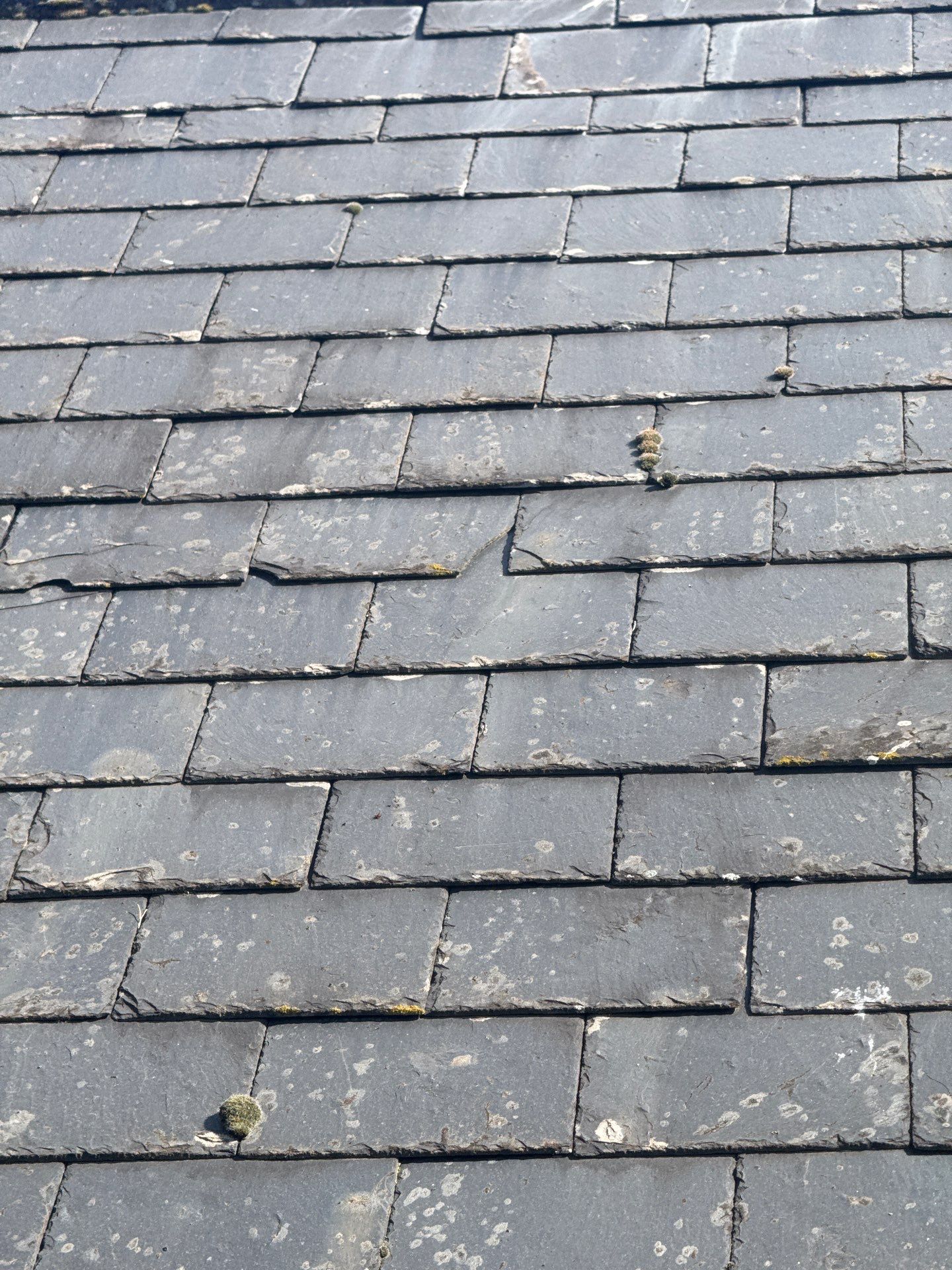 Render and Roof clean using Softwash Equipment by Ges Exterior Cleaning ltd