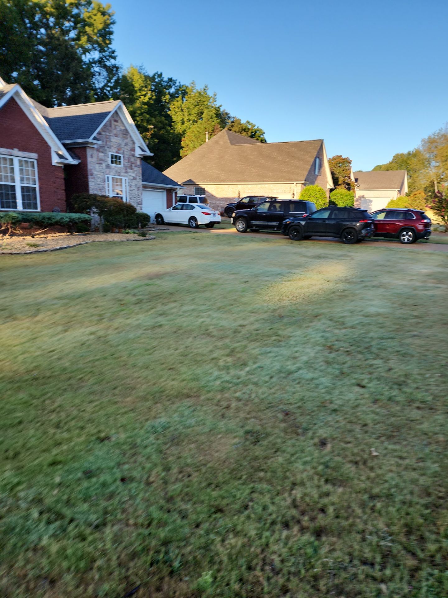 Lawn Care  by Elite Proscapes LLC