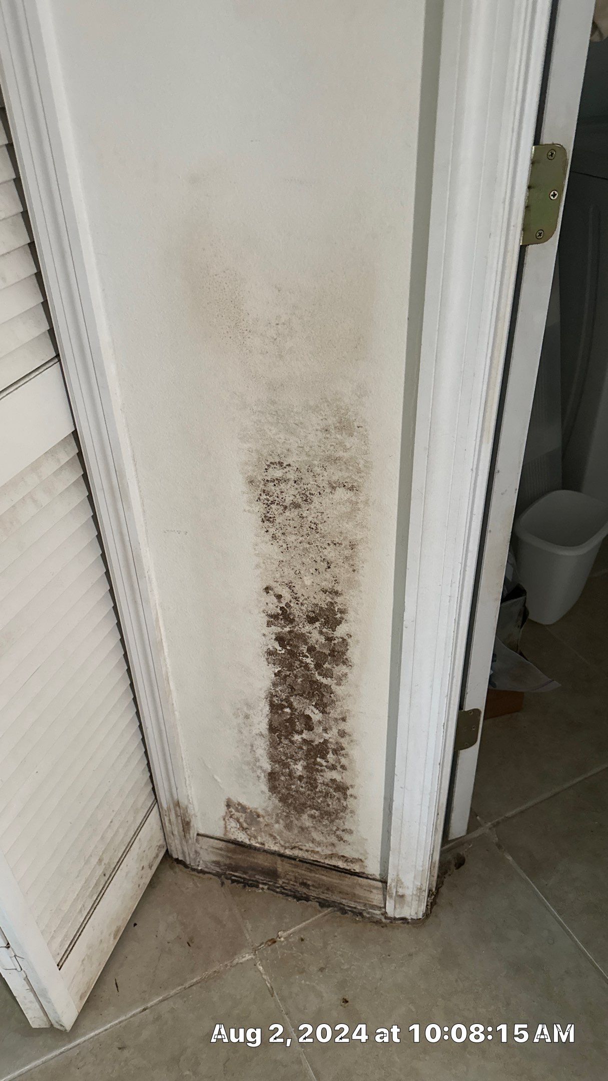 Mold Assessment using IR Camera, Moisture Meter, Air Cassette samples and Tape lifts by Building performance Solutions LLC