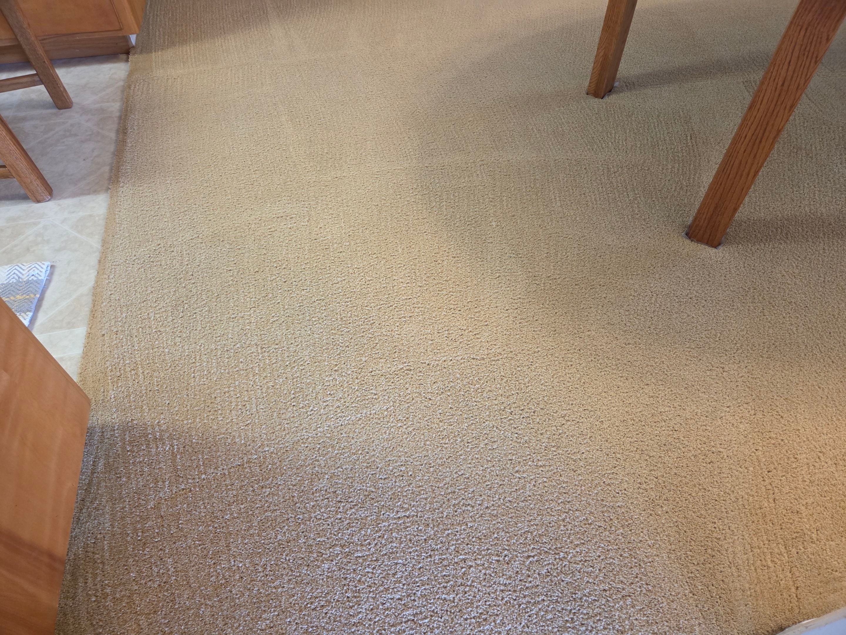 Carpet Cleaning and Stain Removal in Carmichael by Ardent Carpet Restore LLC