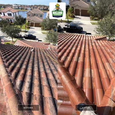 Barrel Tile Roof Cleaning