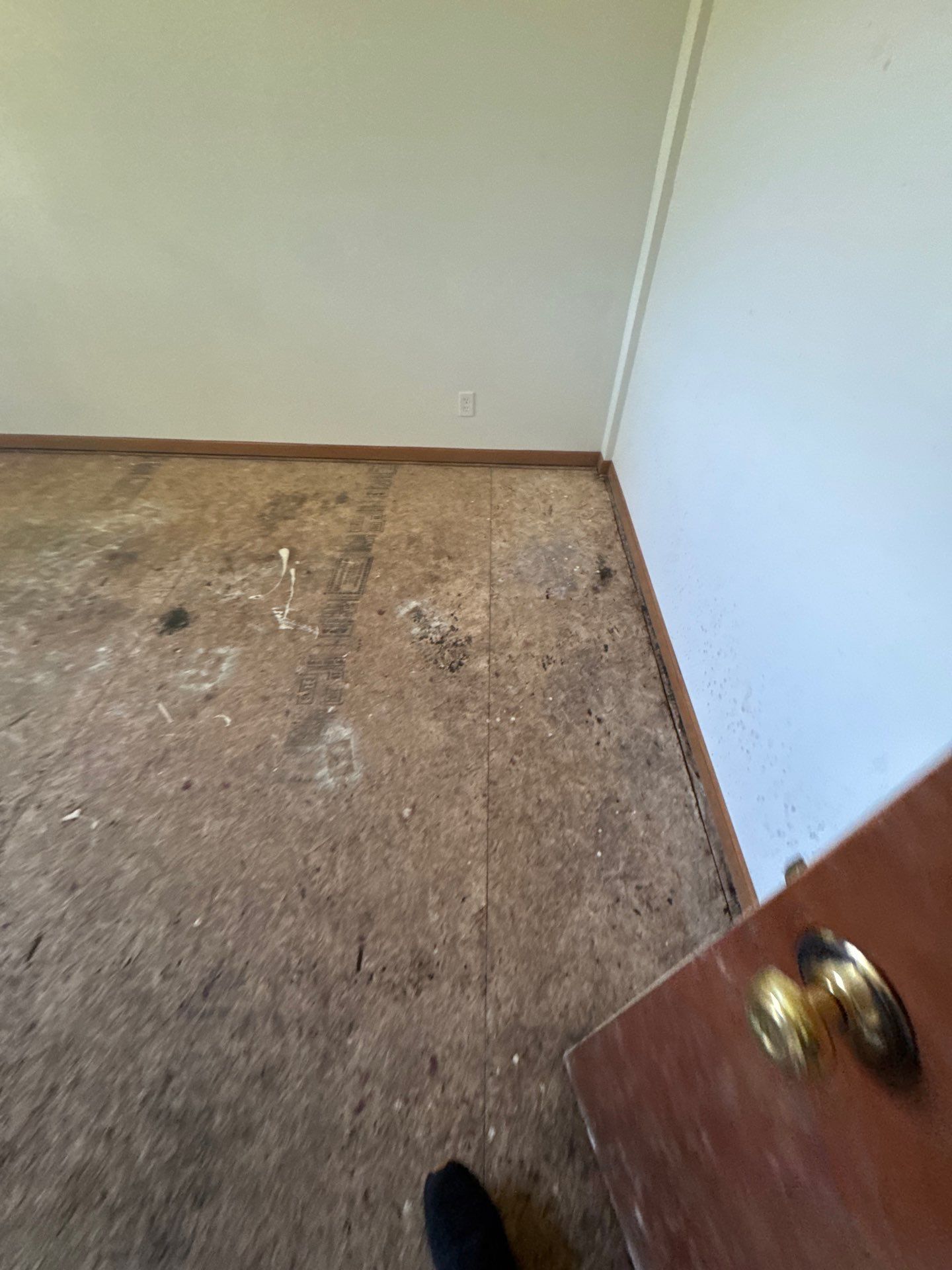 Project in Richmond by EzDry Water Mitigation & Property Restoration