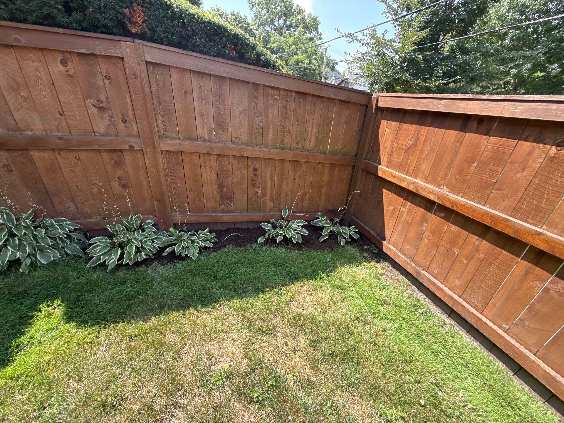 Nancy M. - Park Ridge, IL by A&N
